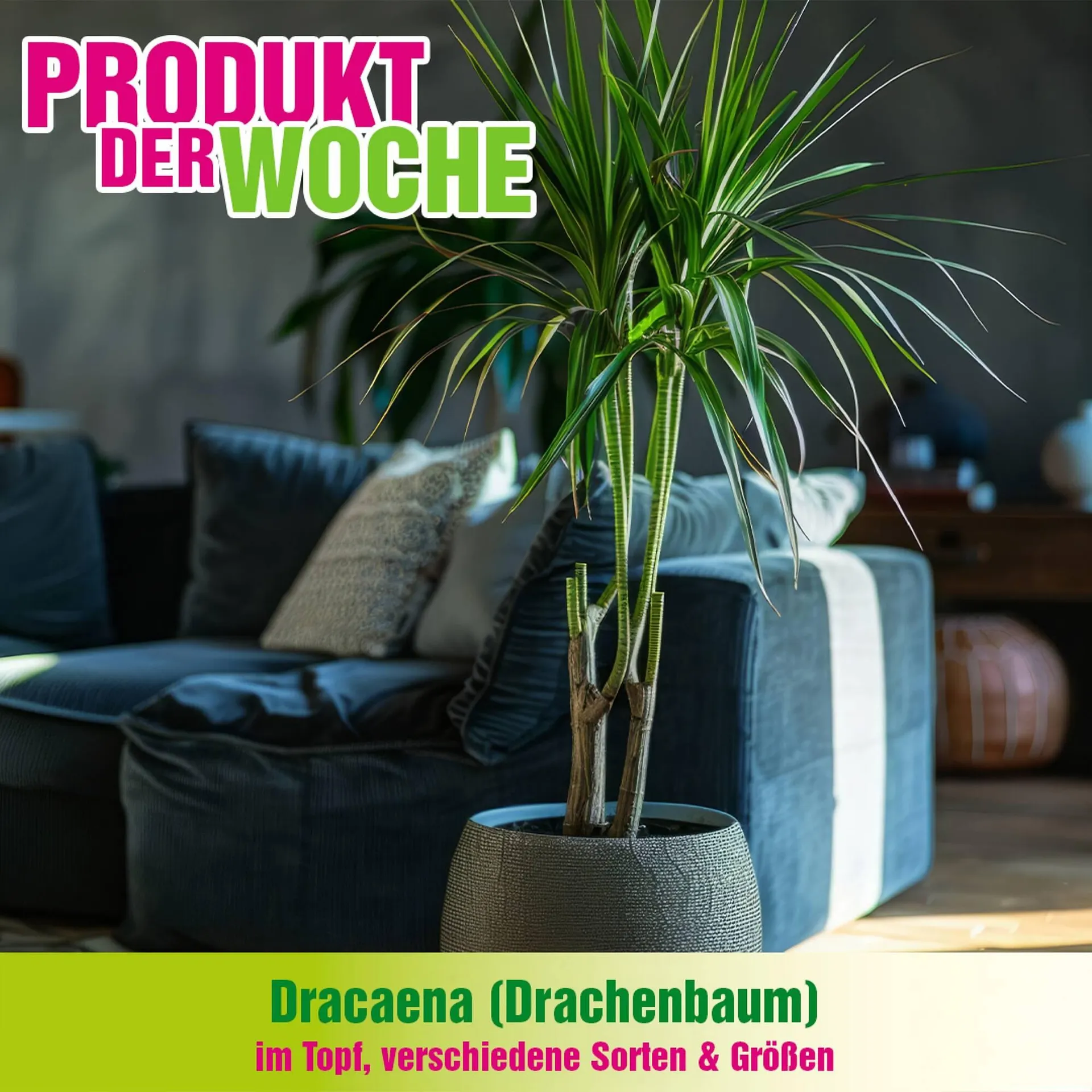 Blumen B&B Flugblatt - 1