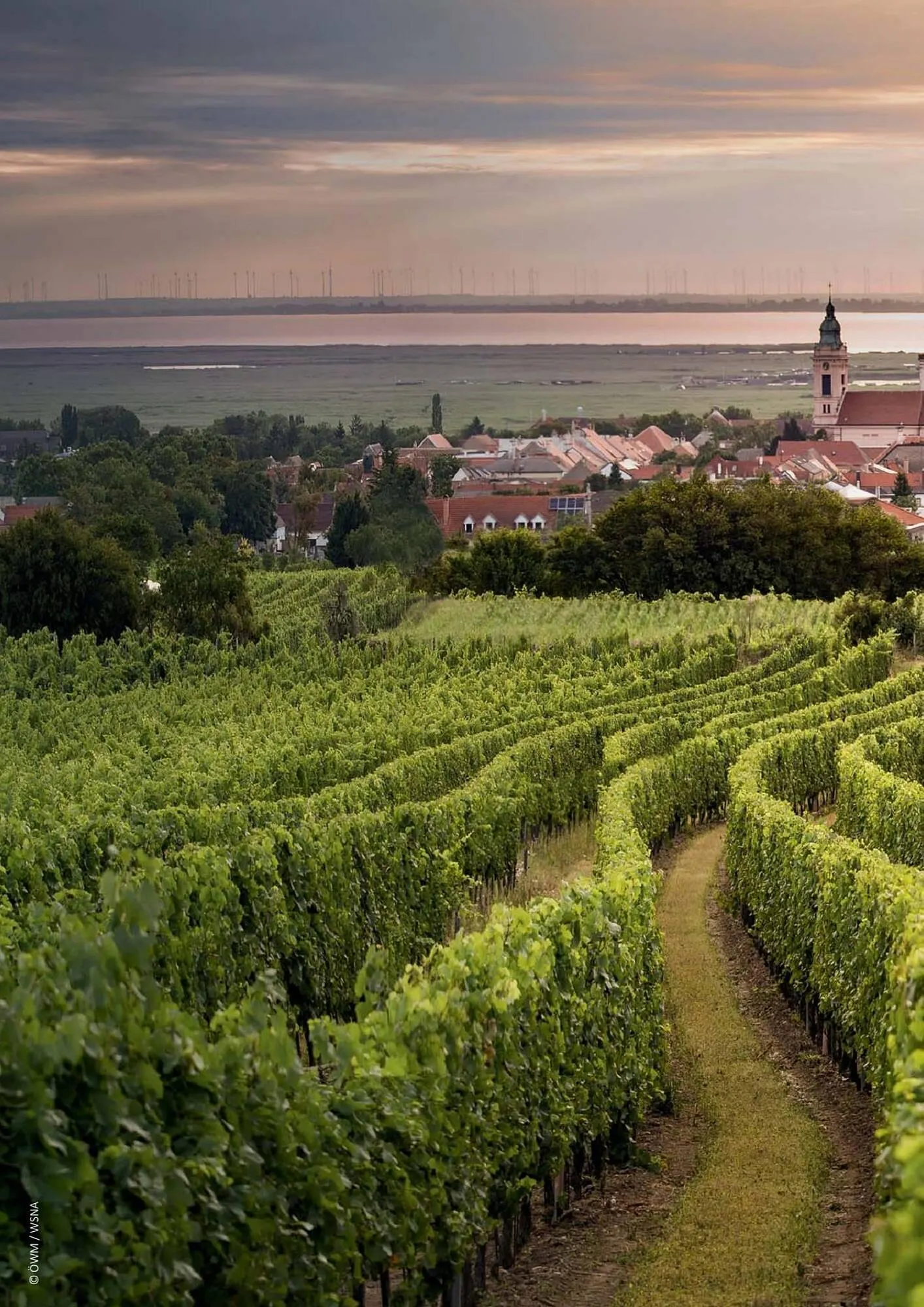 Kastner Flugblatt von 17. Juni bis 31. Dezember 2026 - Flugblätt seite 82