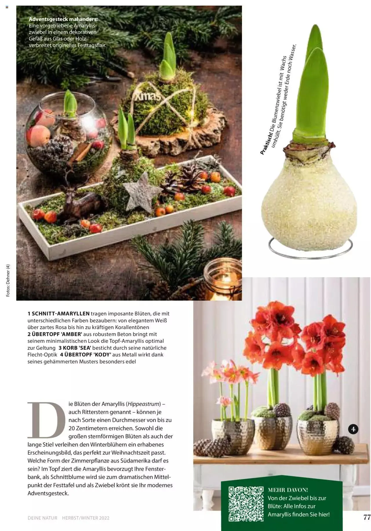 Dehner Flugblatt von 10. Oktober bis 31. Dezember 2023 - Flugblätt seite  77