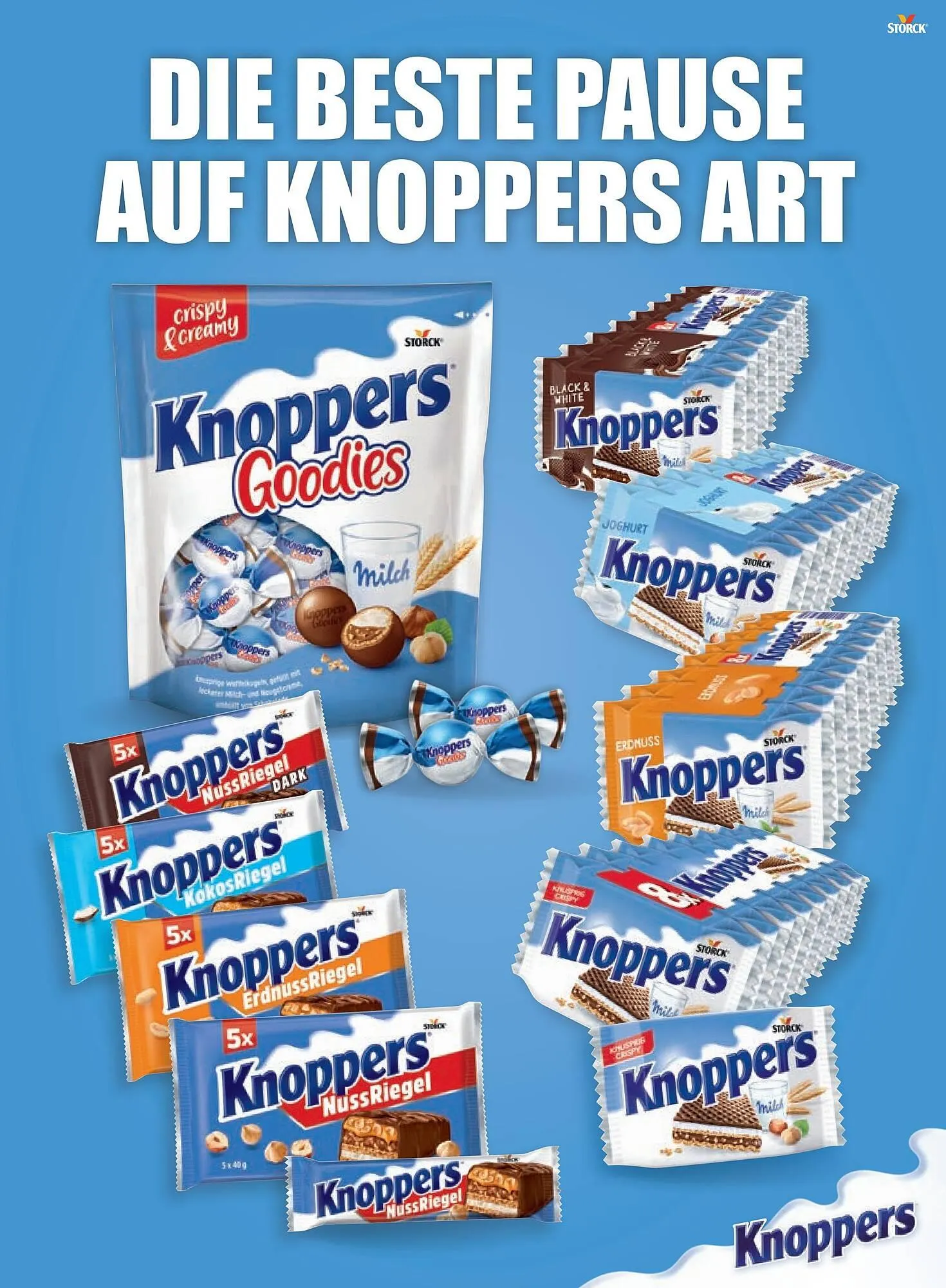 PENNY Flugblatt von 2. März bis 2. April 2026 - Flugblätt seite  5