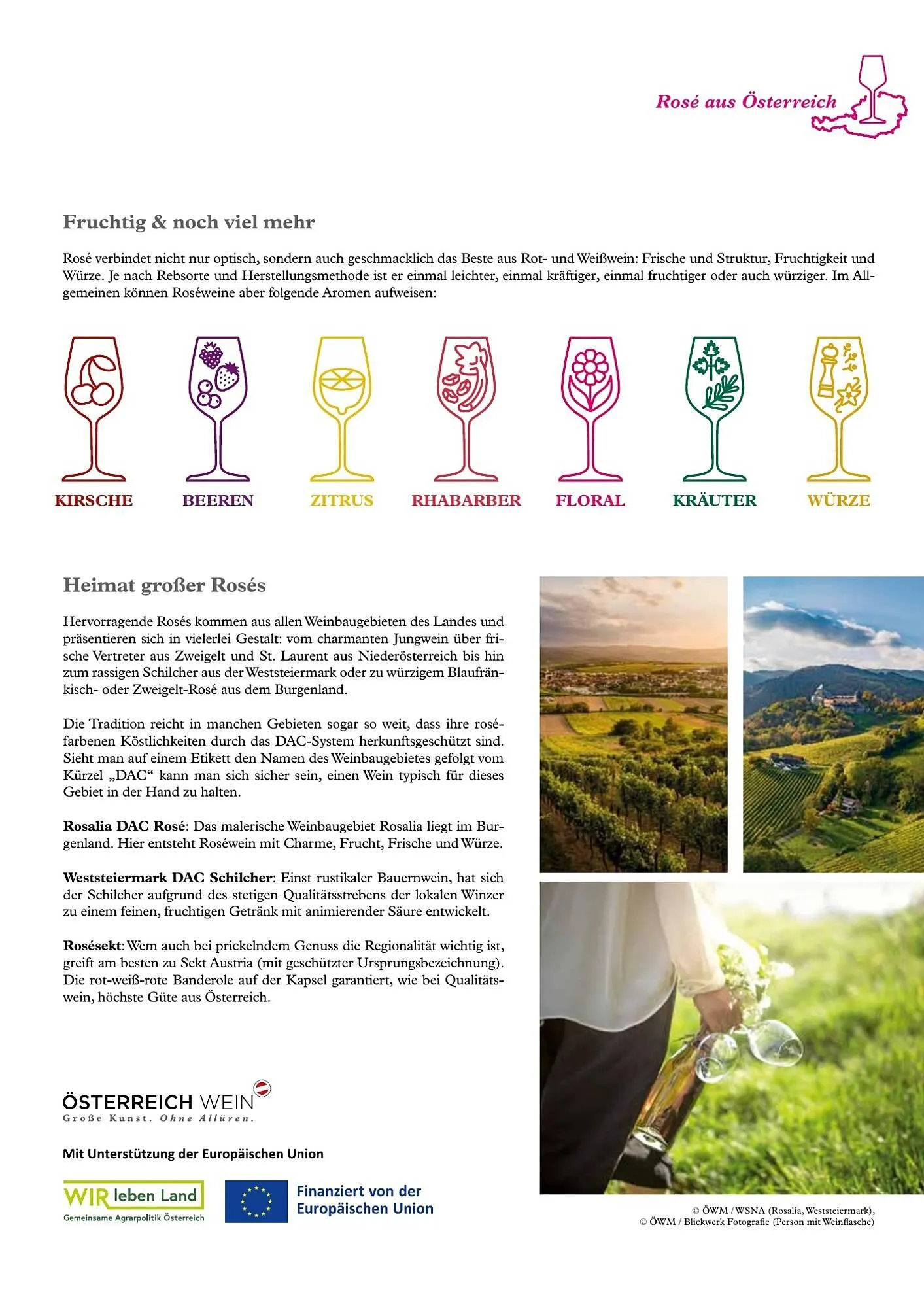 Transgourmet Flugblatt von 22. Mai bis 31. Juli 2026 - Flugblätt seite  63