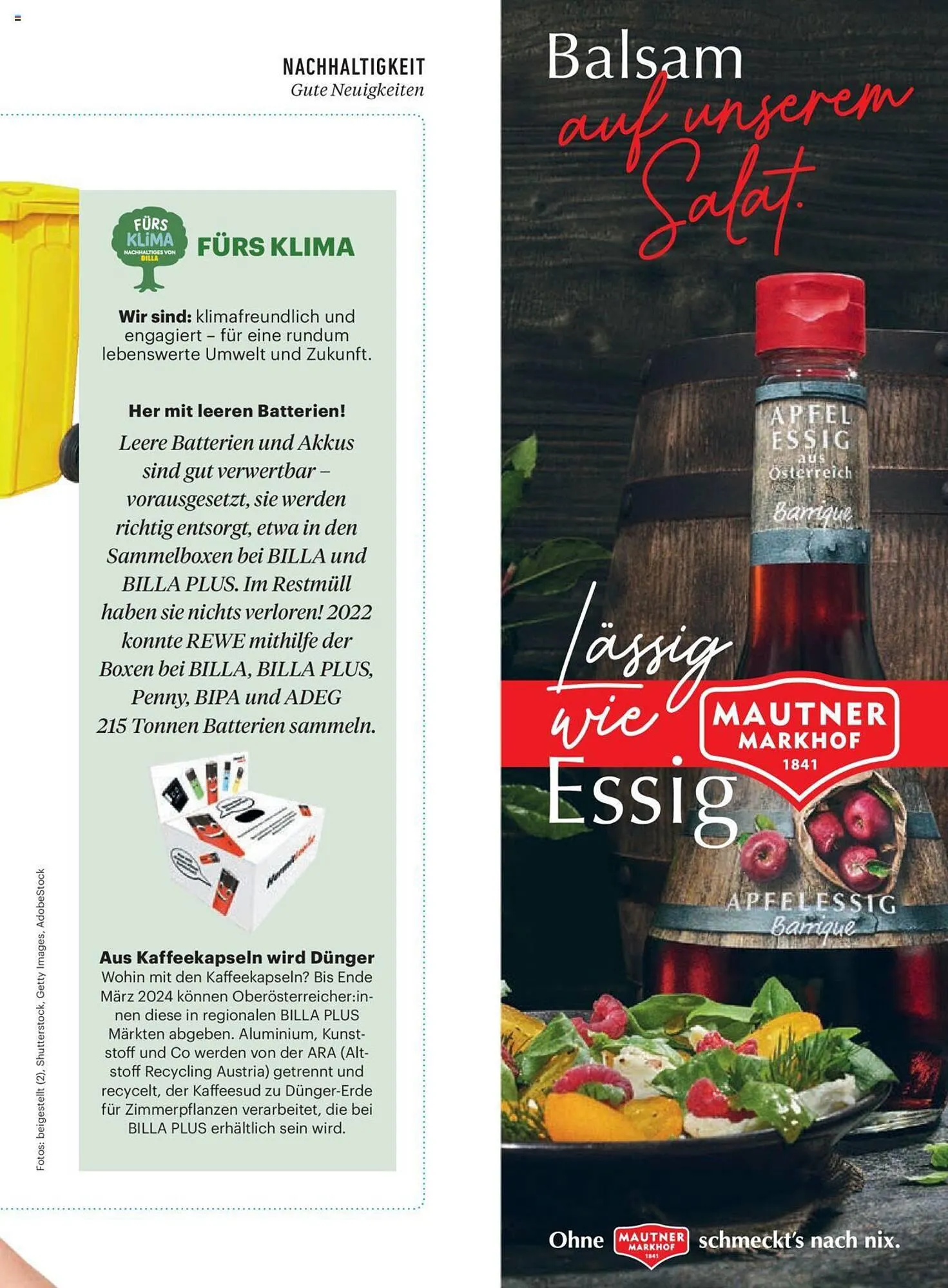 Billa Flugblatt von 1. Dezember bis 31. Dezember 2023 - Flugblätt seite  135