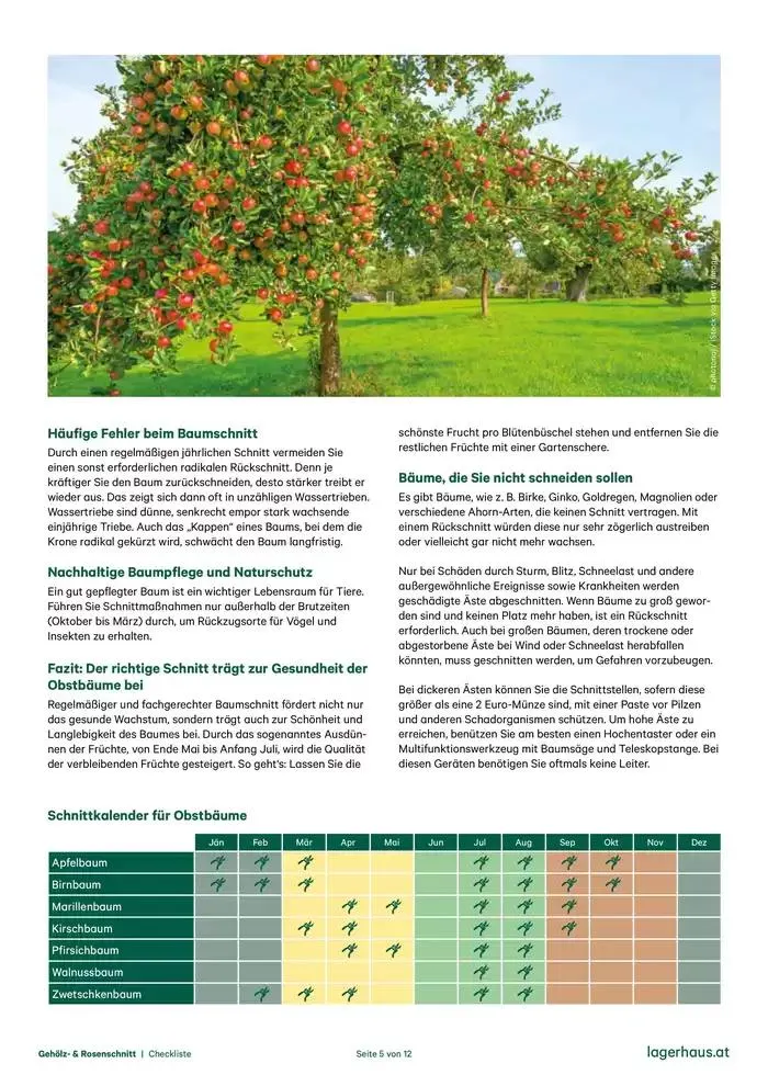 Checkliste: Gehölzschnitt & Rosenschnitt von 28. Dezember bis 11. Jänner 2025 - Flugblätt seite  5