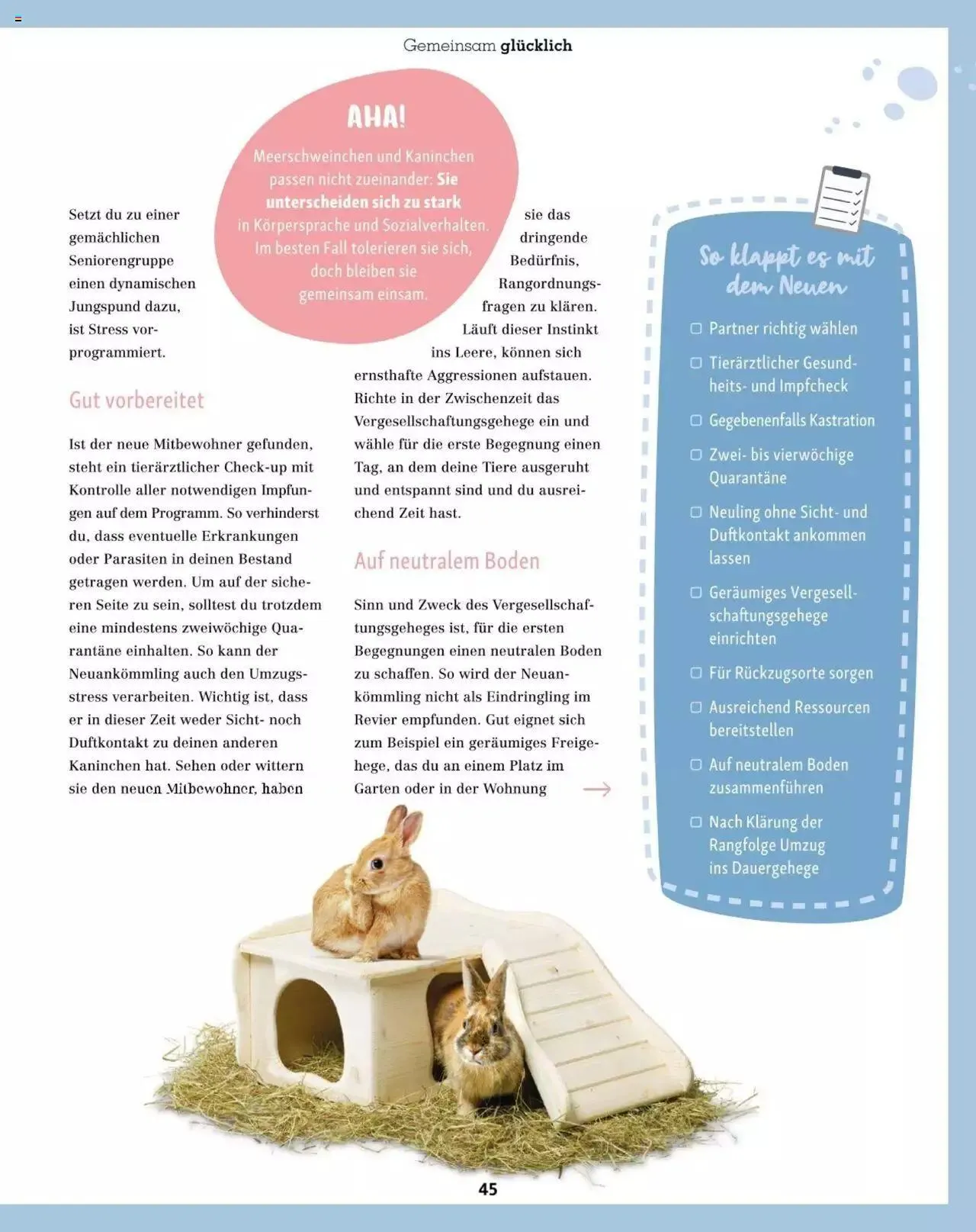 Fressnapf Friends 02/2023 von 1. März bis 31. Dezember 2023 - Flugblätt seite  45