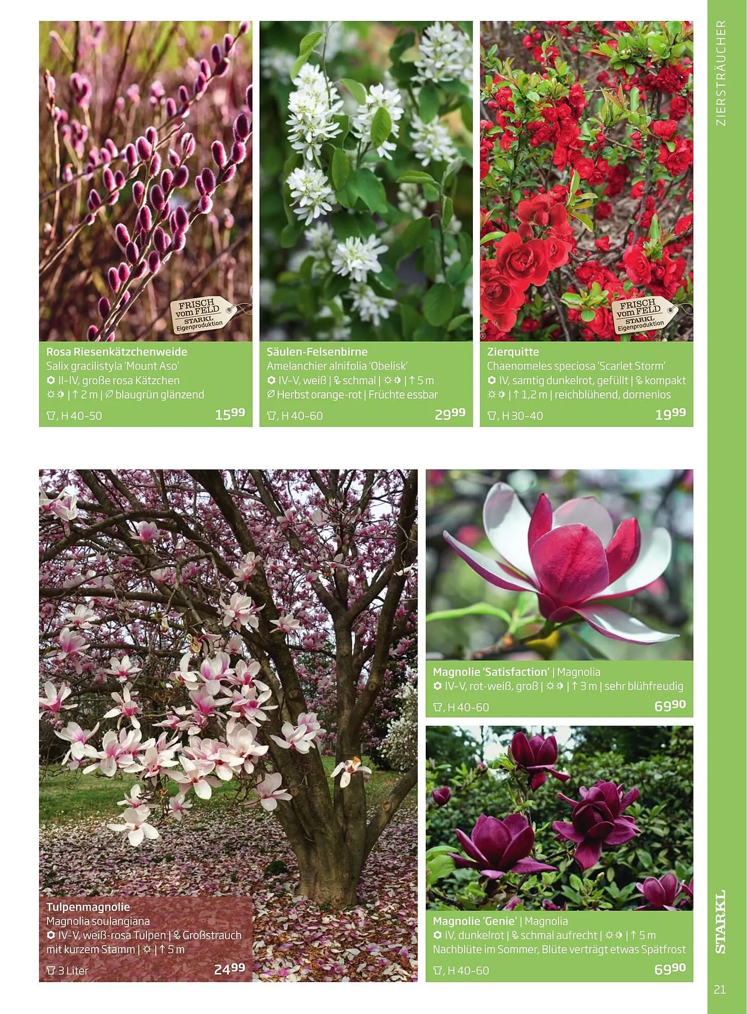 Starkl Flugblatt von 6. Juni bis 31. Dezember 2025 - Flugblätt seite 21
