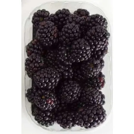 Brombeeren 125 gr