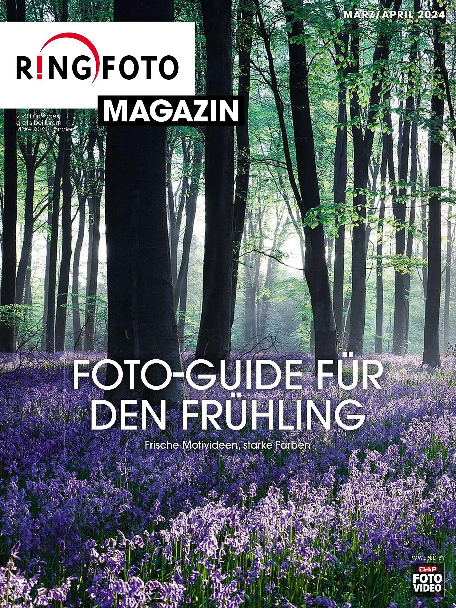 RINGFOTO Flugblatt von 1. März bis 30. April 2024 - Flugblätt seite  