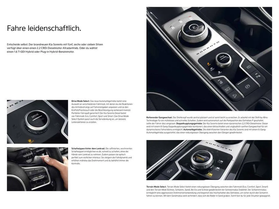 Kia Sorento von 12. März bis 12. März 2025 - Flugblätt seite 23