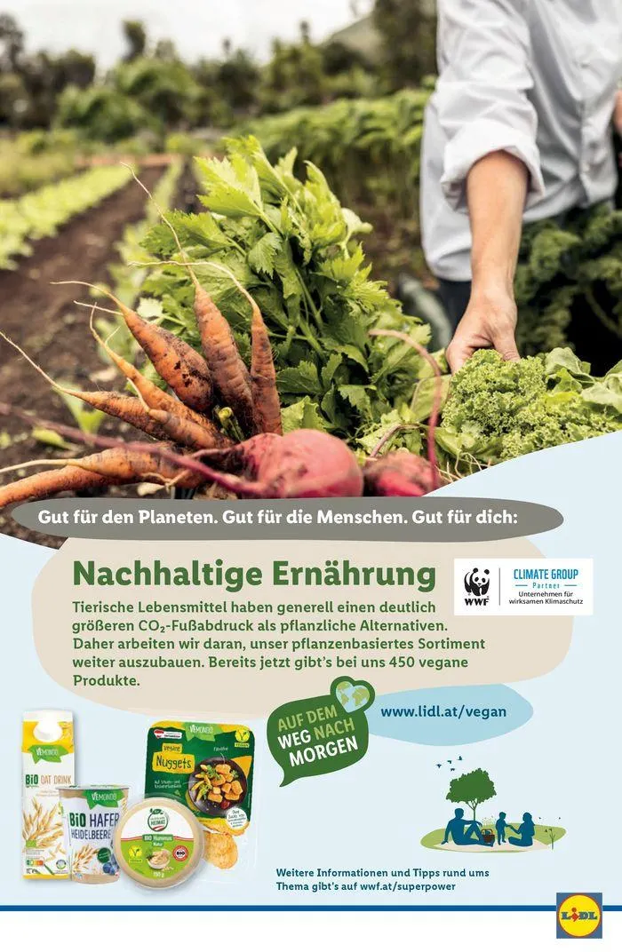 Flugblatt von 29. Mai bis 5. Juni 2024 - Flugblätt seite 44