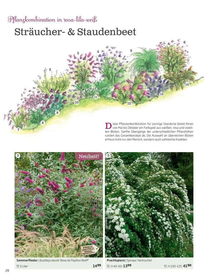 Gartencenter Jahreskatalog 2024 von 20. Mai bis 31. Dezember 2024 - Flugblätt seite  28