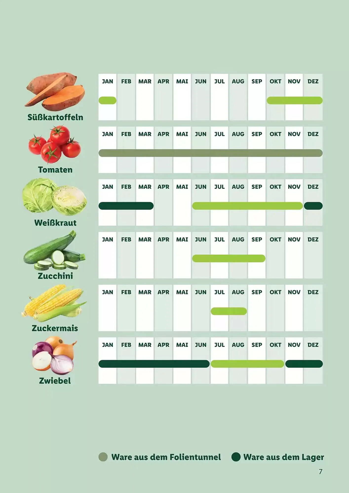 Lidl Flugblatt von 1. September bis 1. September 2026 - Flugblätt seite  7
