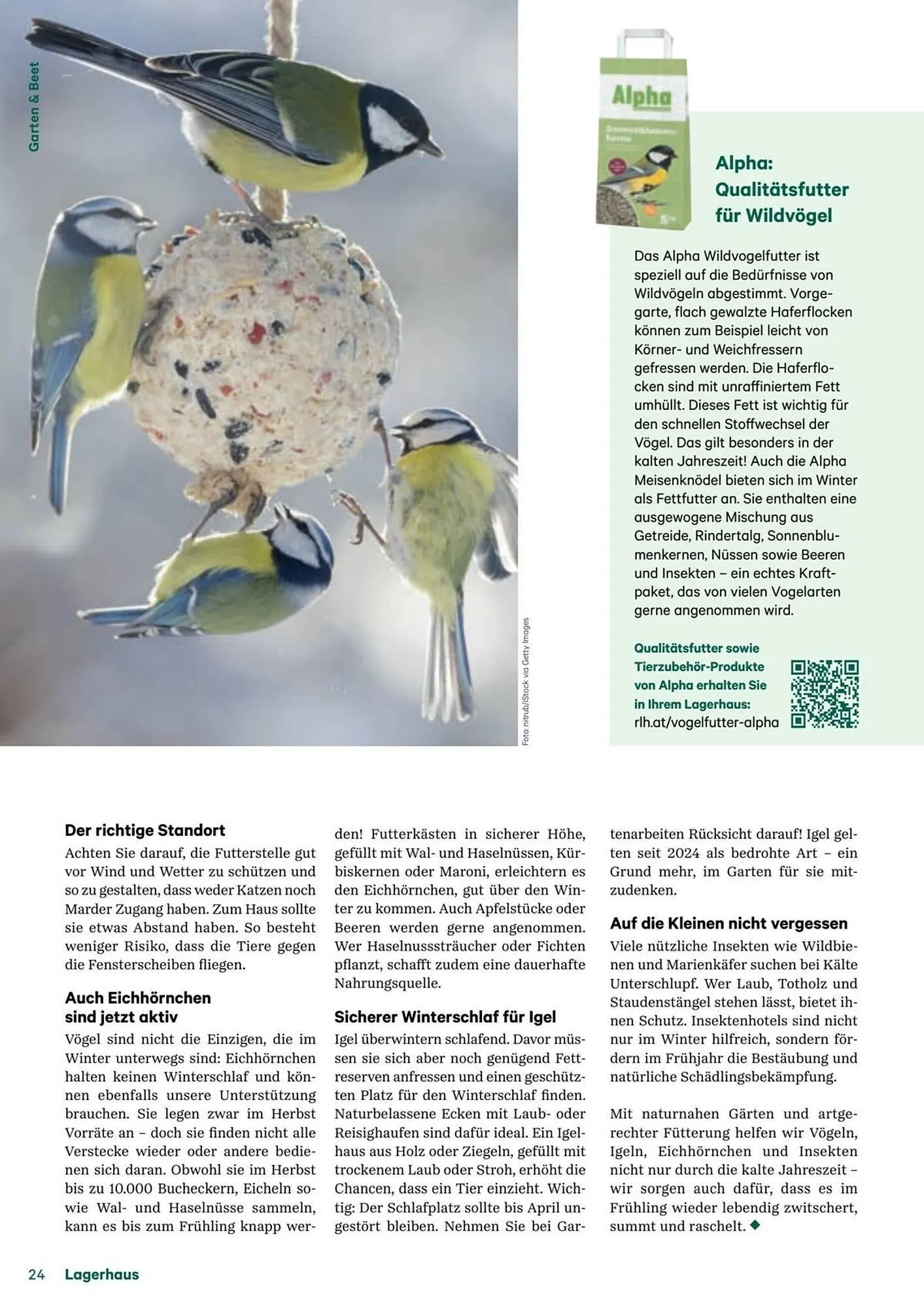 Lagerhaus Flugblatt von 11. Dezember bis 6. Februar 2026 - Flugblätt seite  24