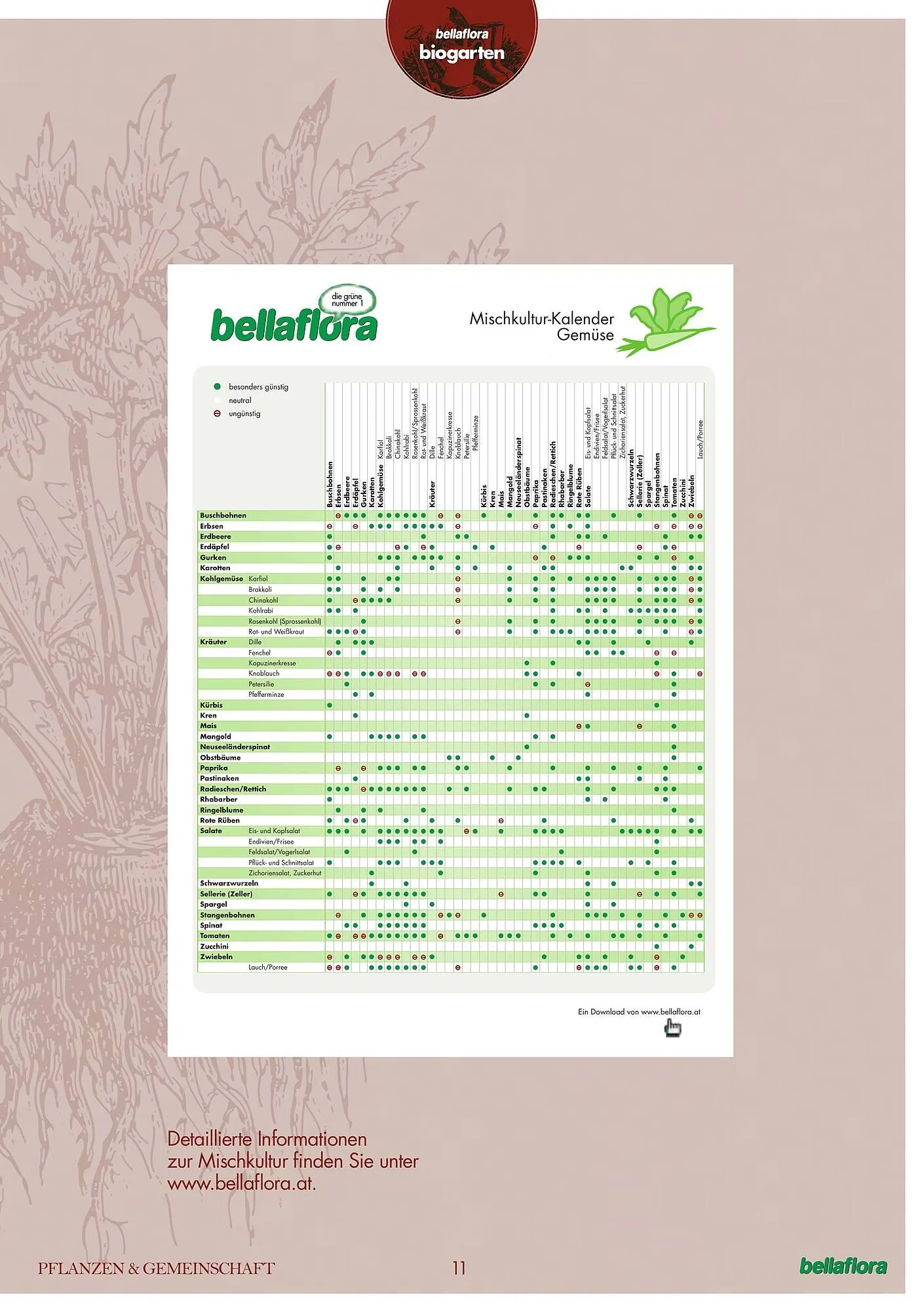Bellaflora Flugblatt von 3. Jänner bis 31. Mai 2025 - Flugblätt seite 11