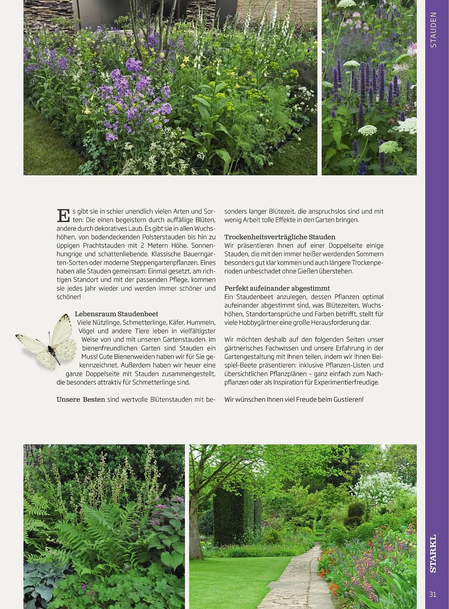 Starkl Flugblatt von 1. Jänner bis 31. Dezember 2023 - Flugblätt seite  31