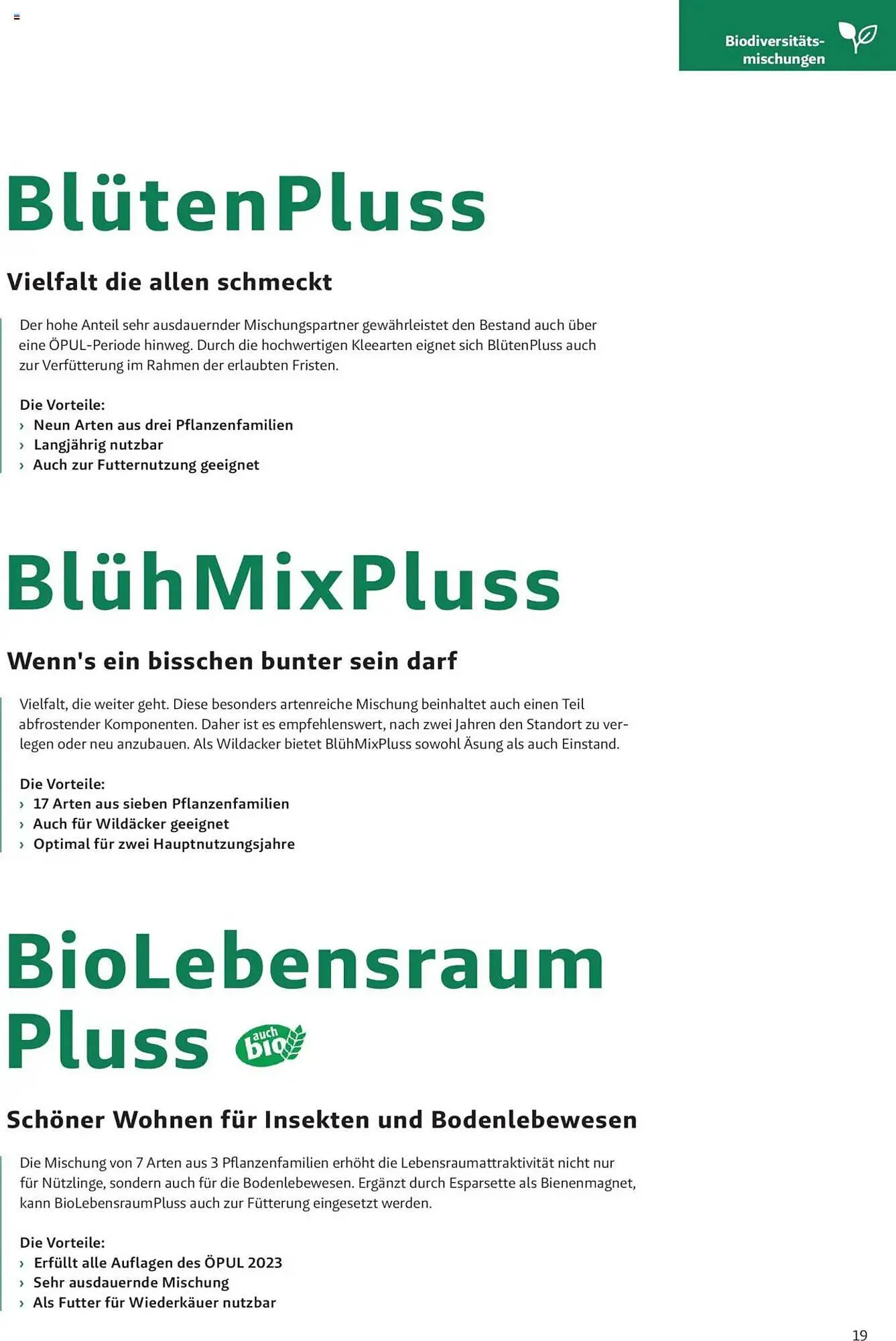 Lagerhaus Flugblatt von 4. Dezember bis 2. Juni 2025 - Flugblätt seite 19