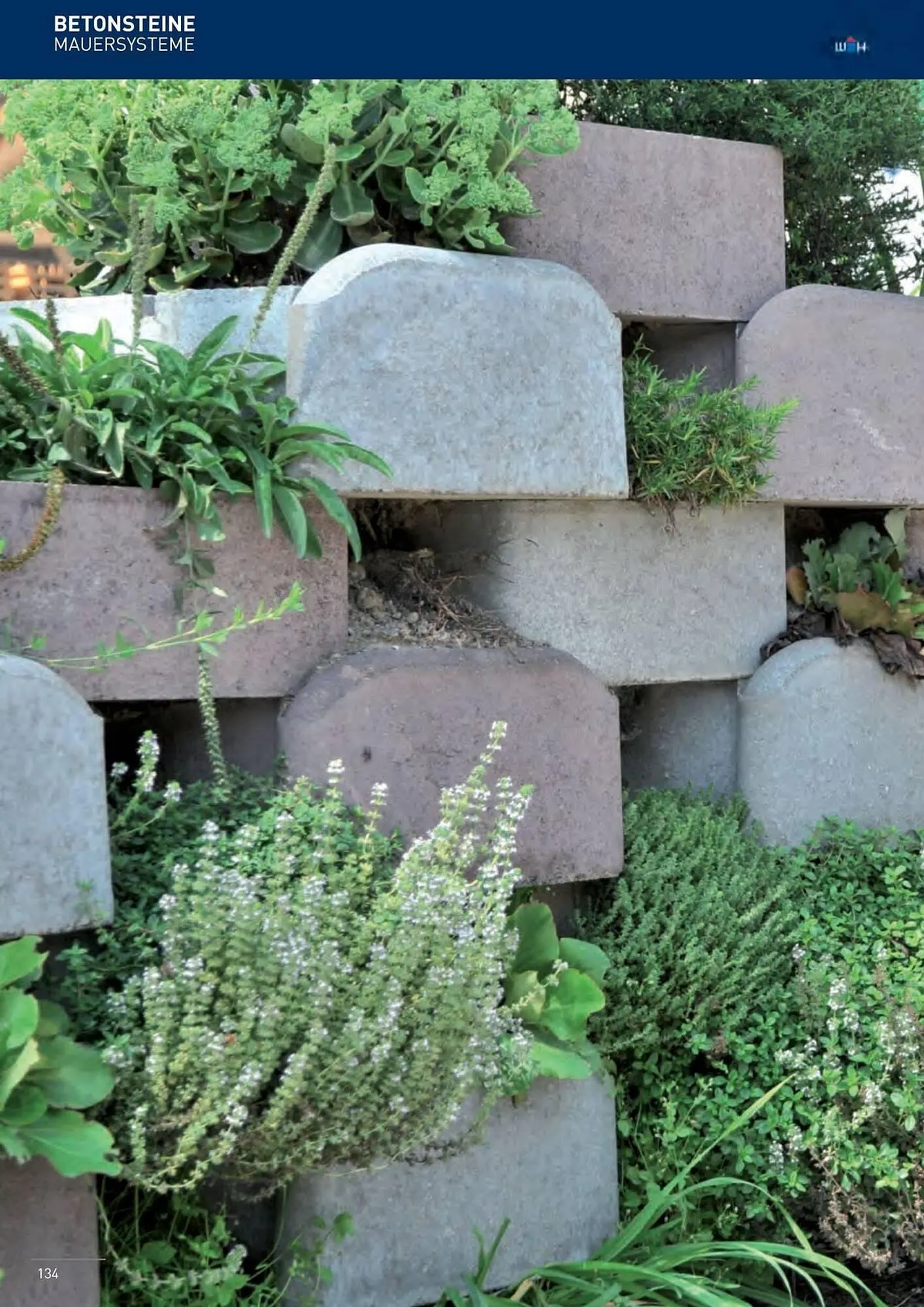 Würth Flugblatt von 5. Juni bis 31. Dezember 2025 - Flugblätt seite  131