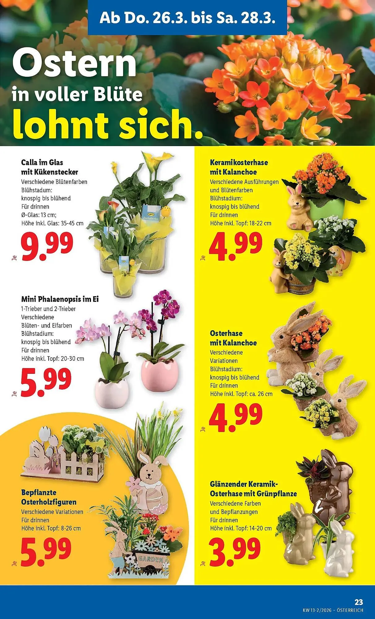 Lidl Flugblatt von 26. März bis 1. April 2026 - Flugblätt seite  25