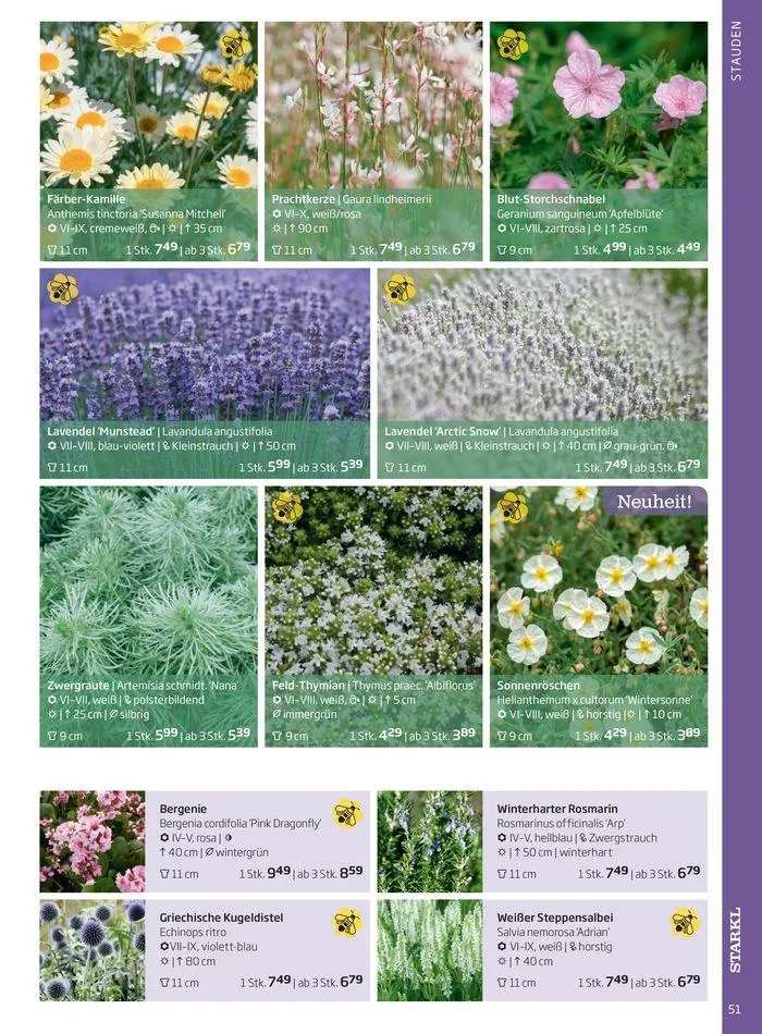 Gartencenter Jahreskatalog 2024 von 20. Mai bis 31. Dezember 2024 - Flugblätt seite  51