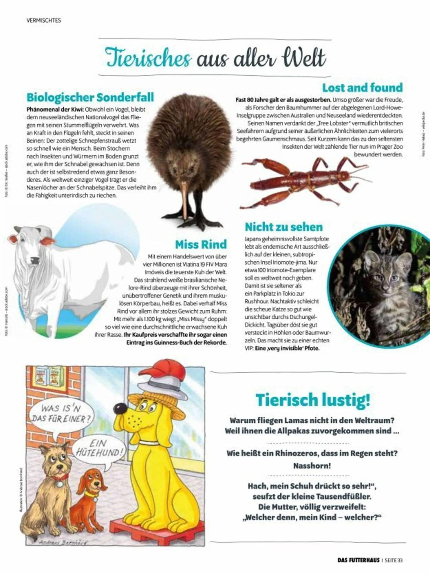 Das Futterhaus Prospekt von 3. Oktober bis 30. November 2025 - Flugblätt seite 33