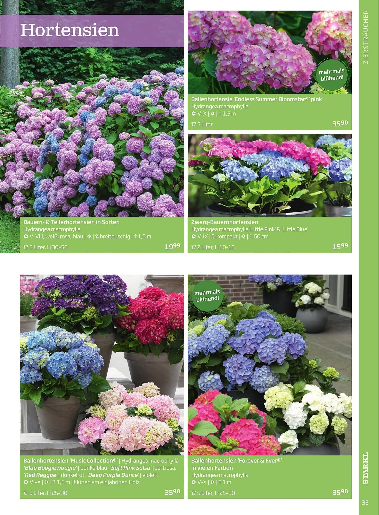 Starkl Flugblatt von 6. Juni bis 31. Dezember 2025 - Flugblätt seite 35