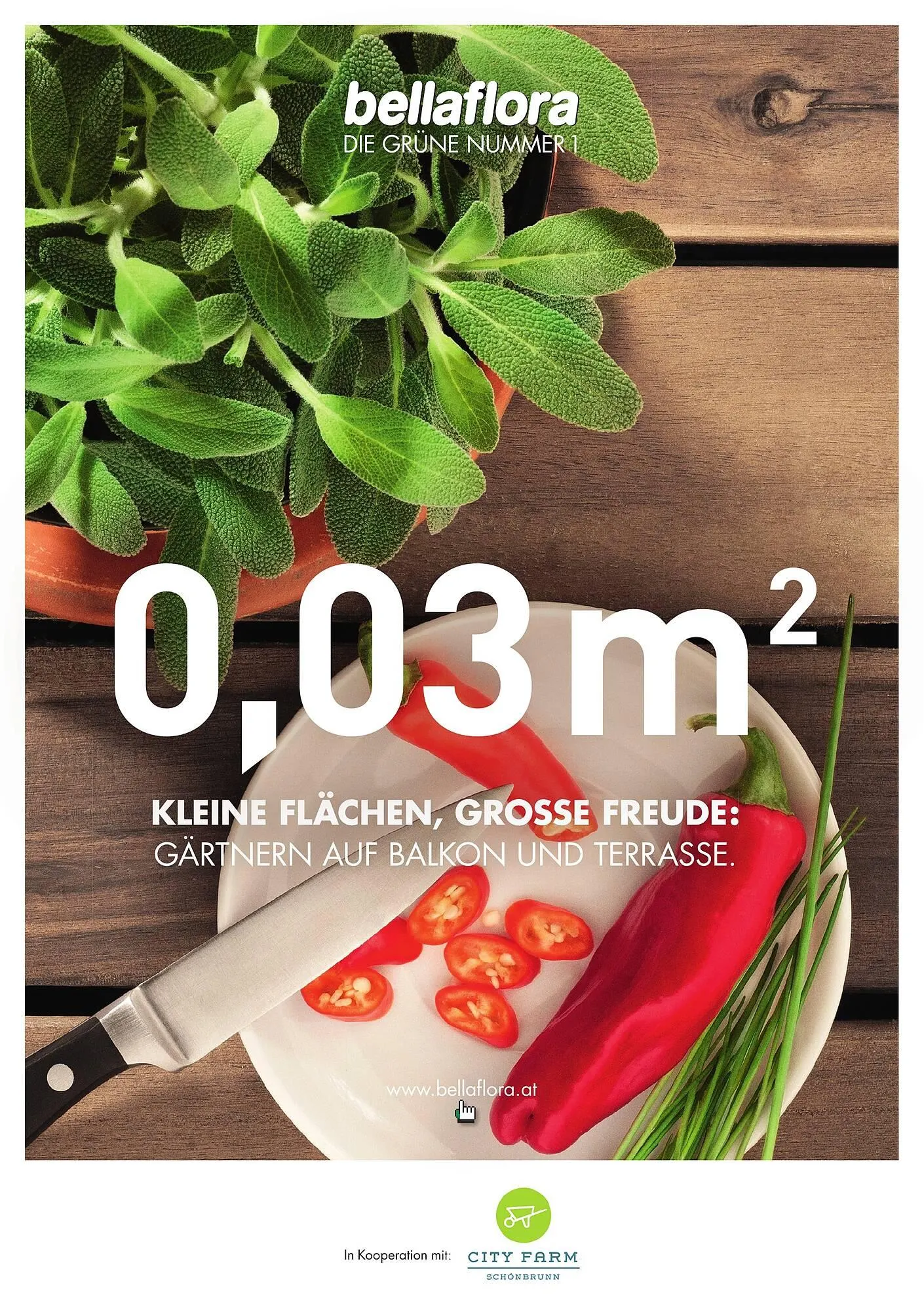 Bellaflora Flugblatt von 3. Jänner bis 31. Mai 2025 - Flugblätt seite  1
