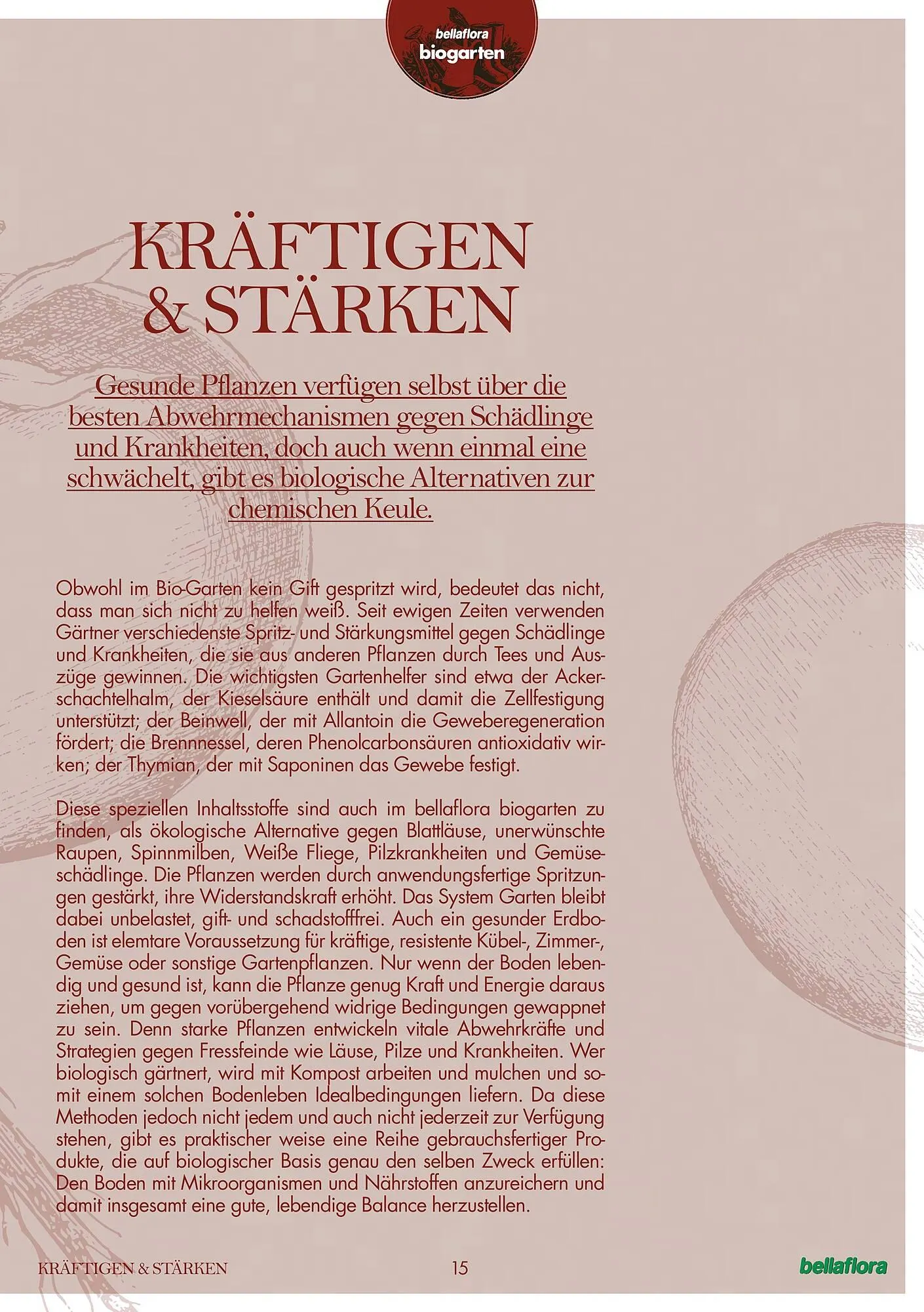 Bellaflora Flugblatt von 3. Jänner bis 31. Mai 2025 - Flugblätt seite 15