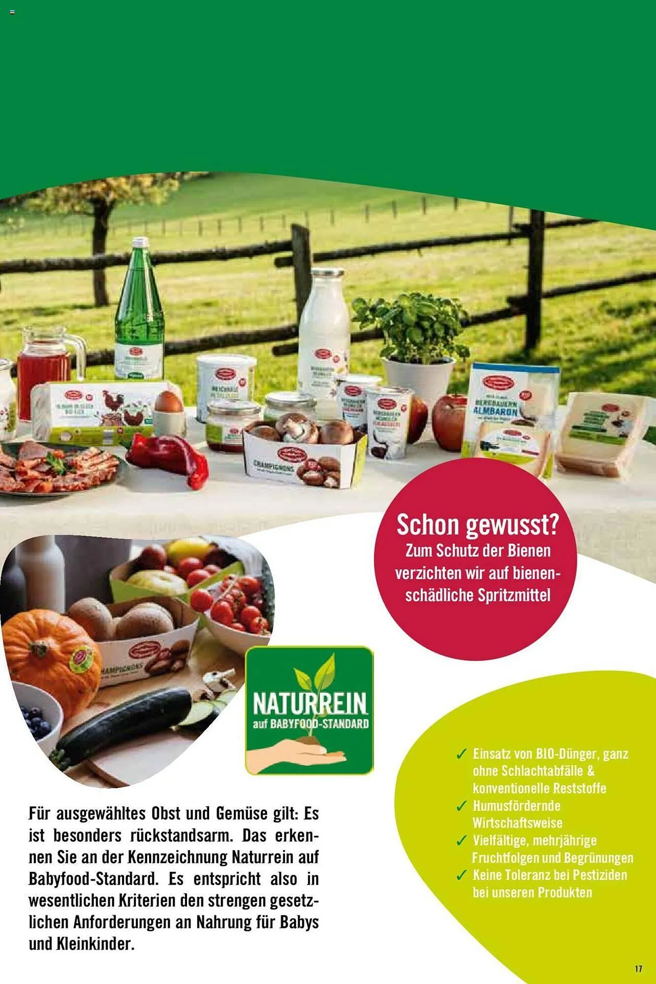 Hofer Flugblatt von 8. Oktober bis 4. März 2026 - Flugblätt seite  17