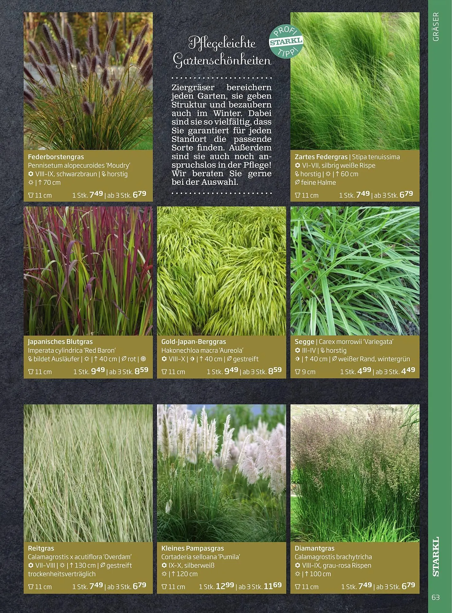 Starkl Flugblatt von 6. Juni bis 31. Dezember 2025 - Flugblätt seite  63