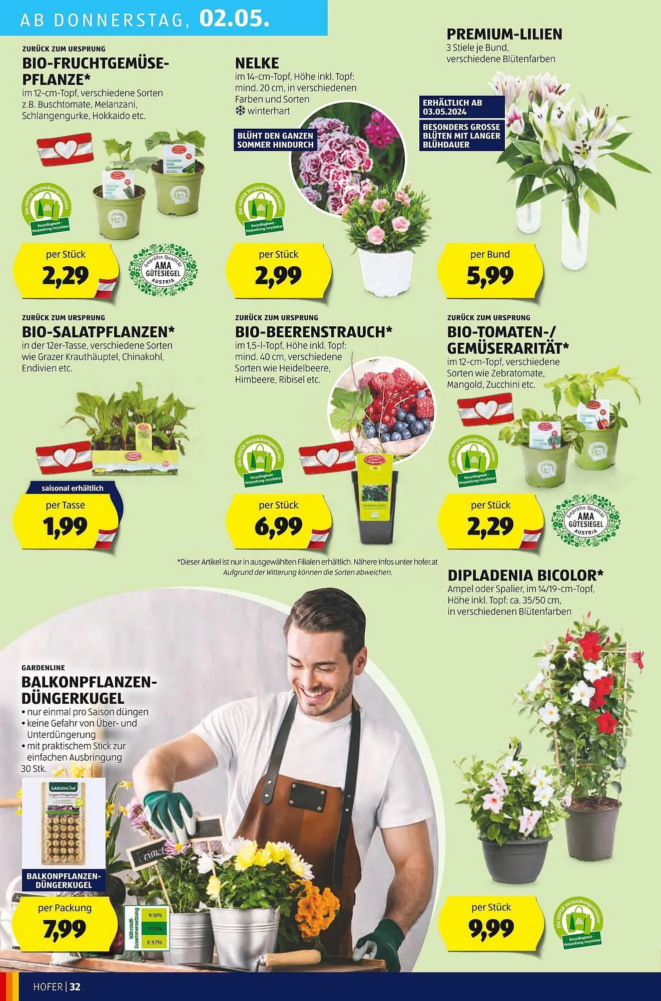 Hofer Flugblatt von 26. April bis 2. Mai 2024 - Flugblätt seite 36