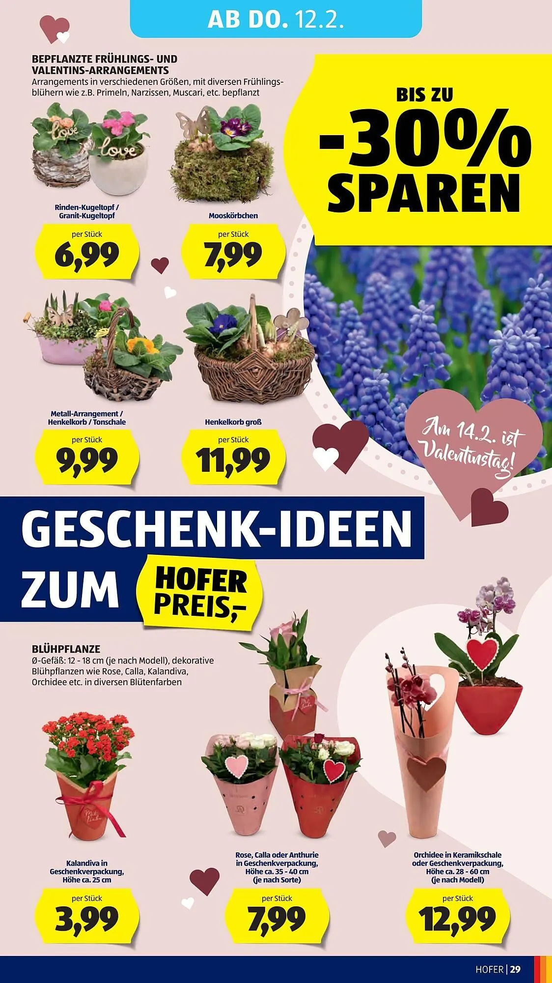 Hofer Flugblatt von 6. Februar bis 12. Februar 2026 - Flugblätt seite 33