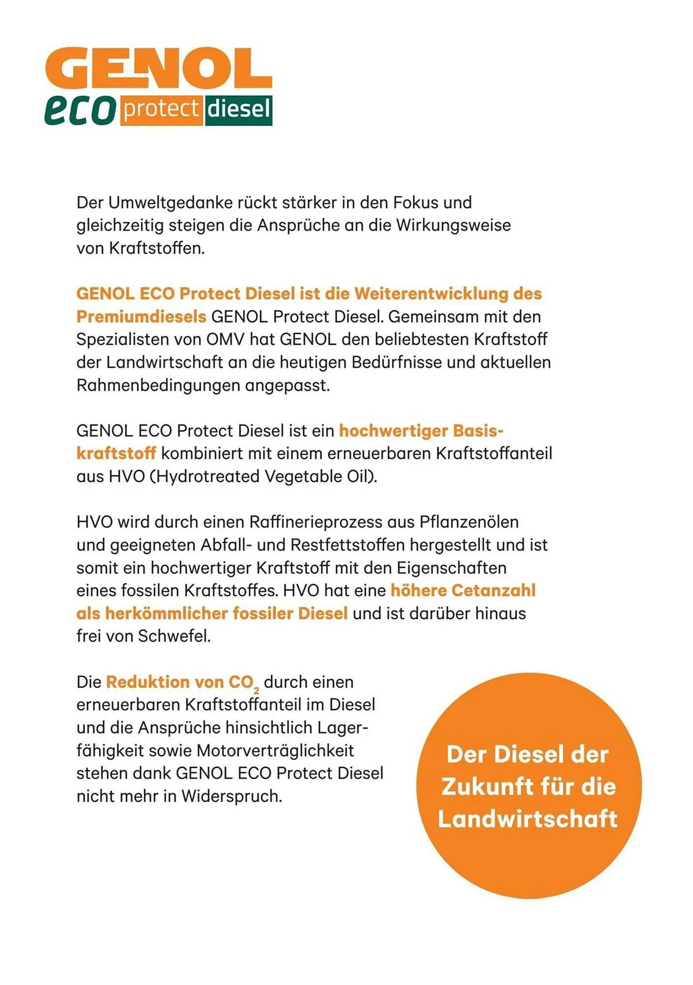 Lagerhaus Flugblatt von 11. Dezember bis 21. Jänner 2026 - Flugblätt seite 2