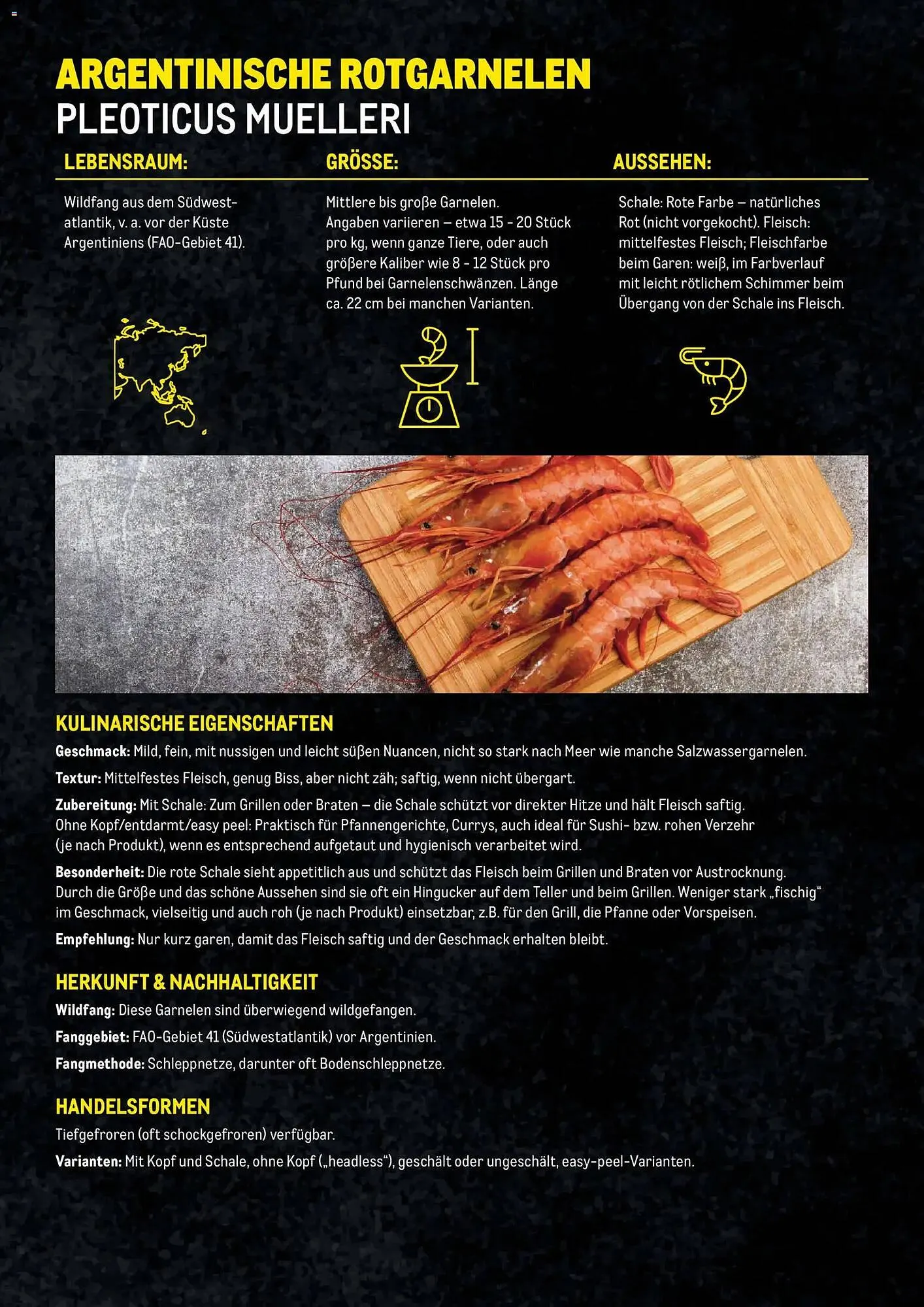 Metro Flugblatt von 27. November bis 31. Dezember 2025 - Flugblätt seite  16