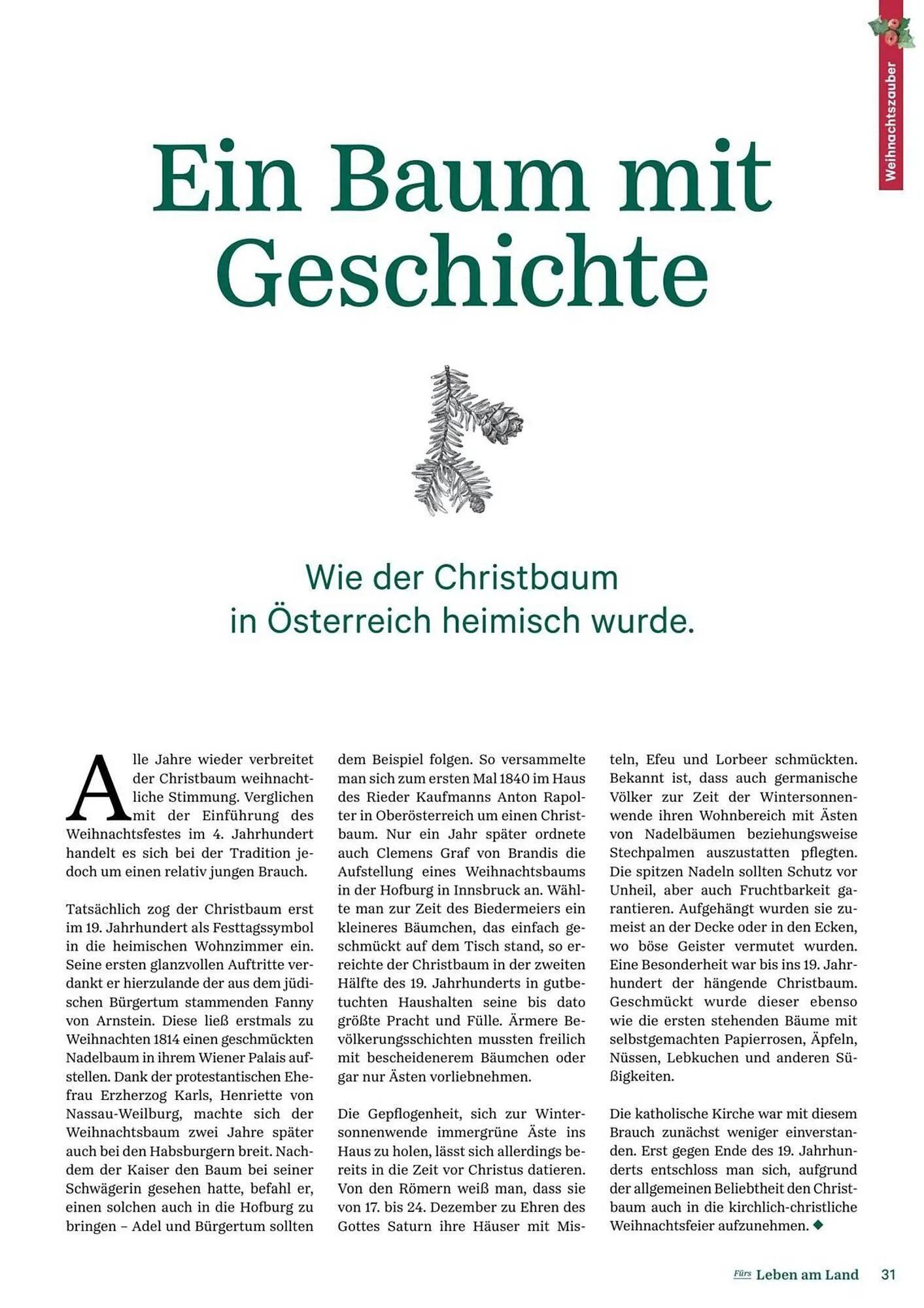 Lagerhaus Flugblatt von 11. Dezember bis 6. Februar 2026 - Flugblätt seite  31