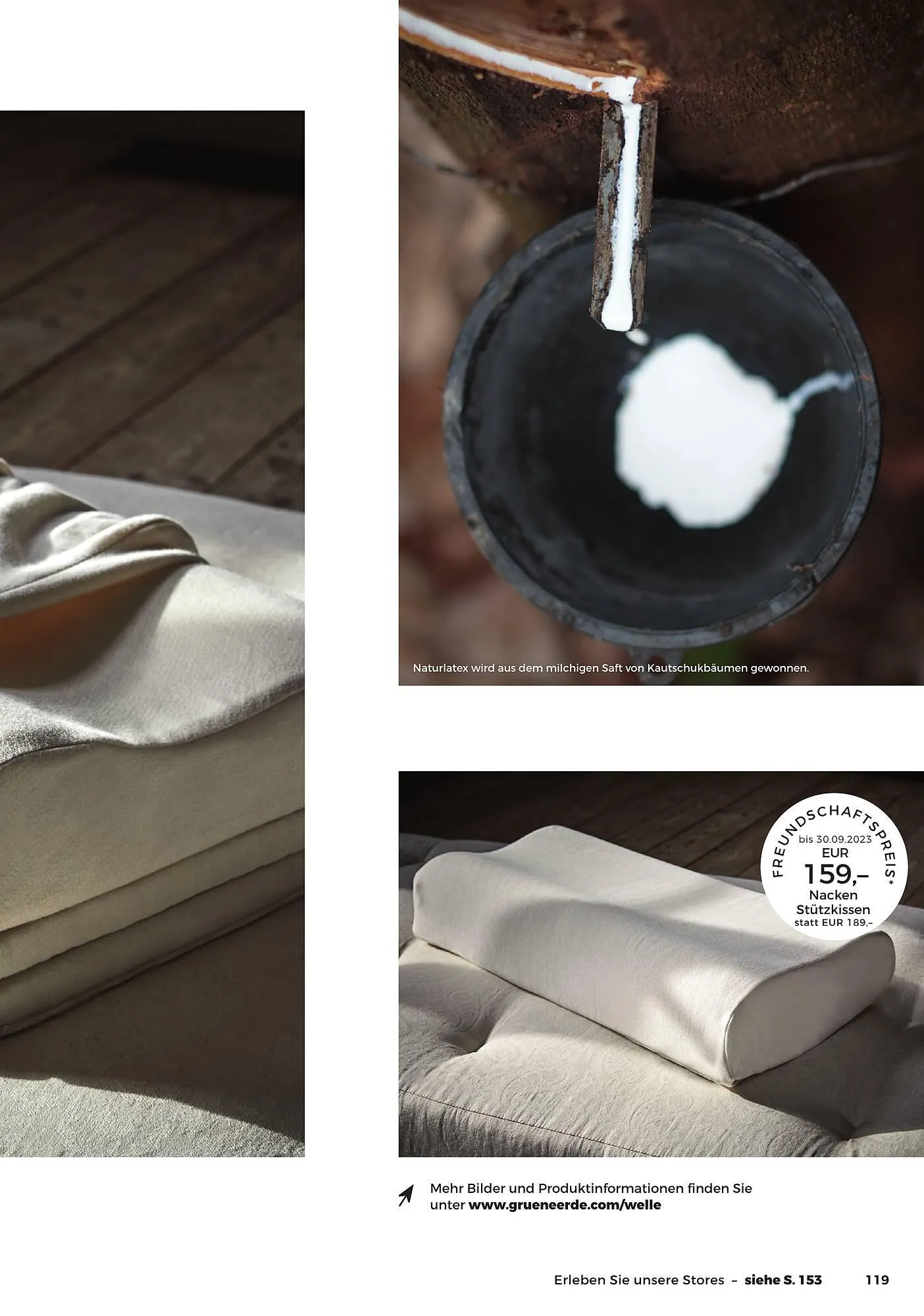 Grüne Erde Flugblatt von 27. September bis 28. Dezember 2024 - Flugblätt seite 117