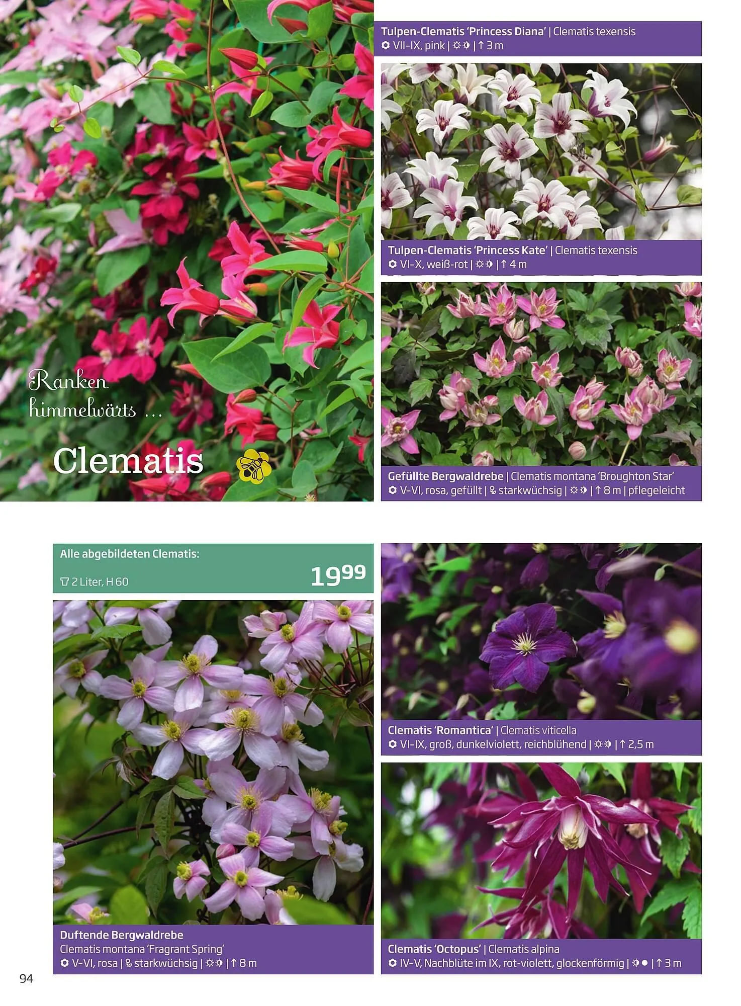 Starkl Flugblatt von 6. Juni bis 31. Dezember 2025 - Flugblätt seite  94