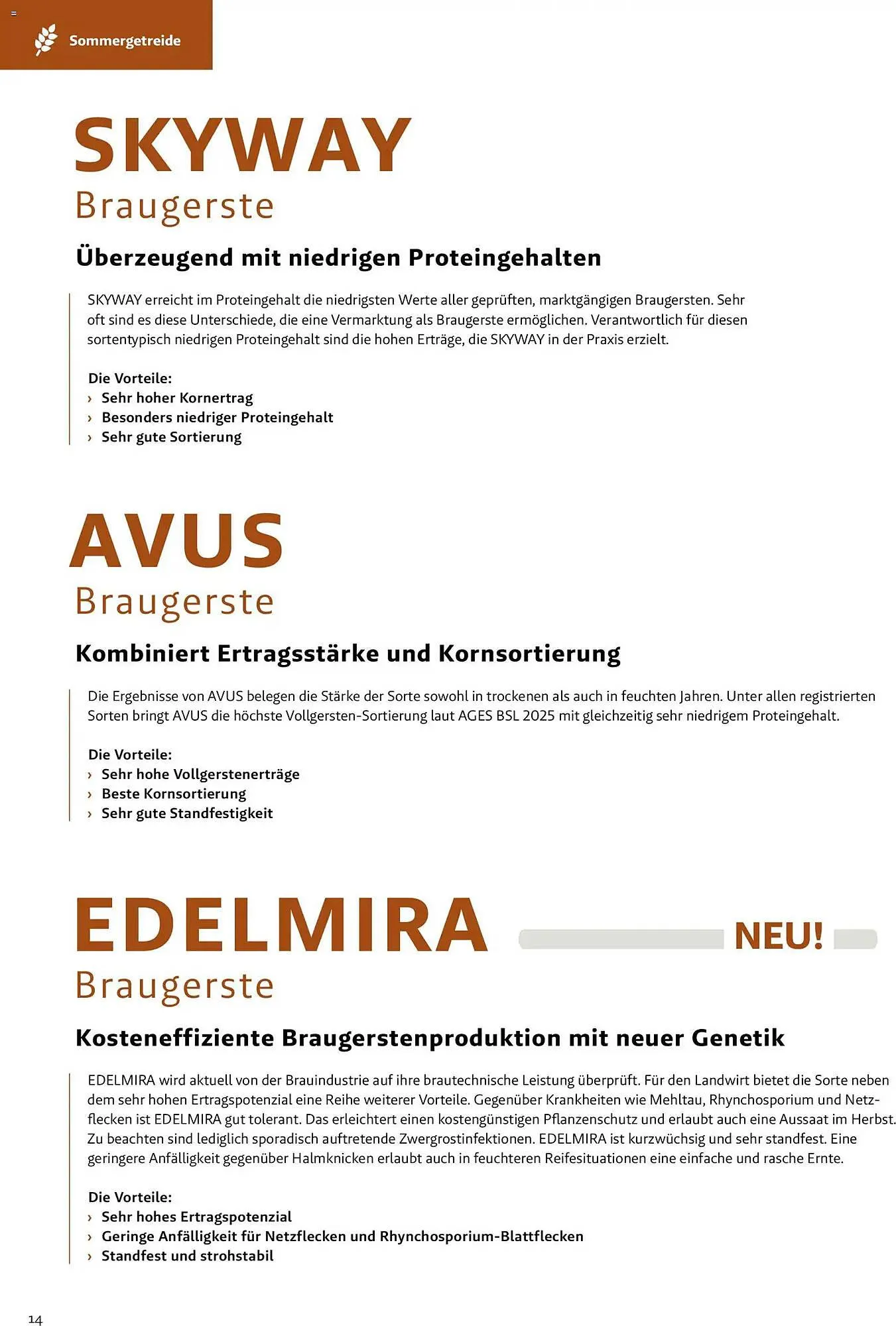 Lagerhaus Flugblatt von 1. März bis 31. Mai 2026 - Flugblätt seite  14