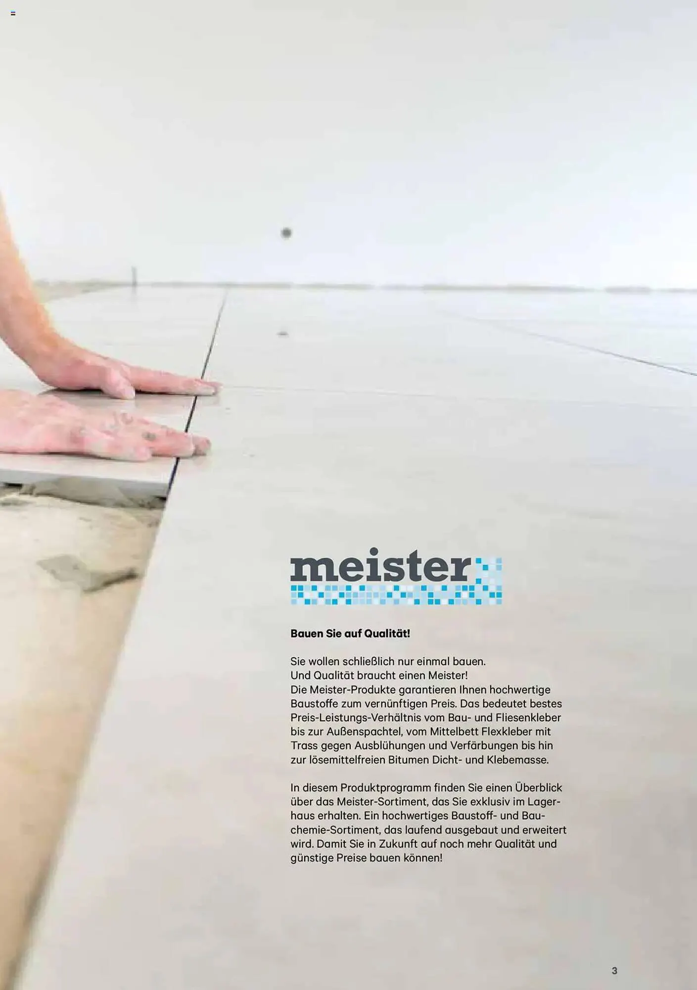 Lagerhaus Flugblatt von 8. Jänner bis 31. Dezember 2025 - Flugblätt seite  3