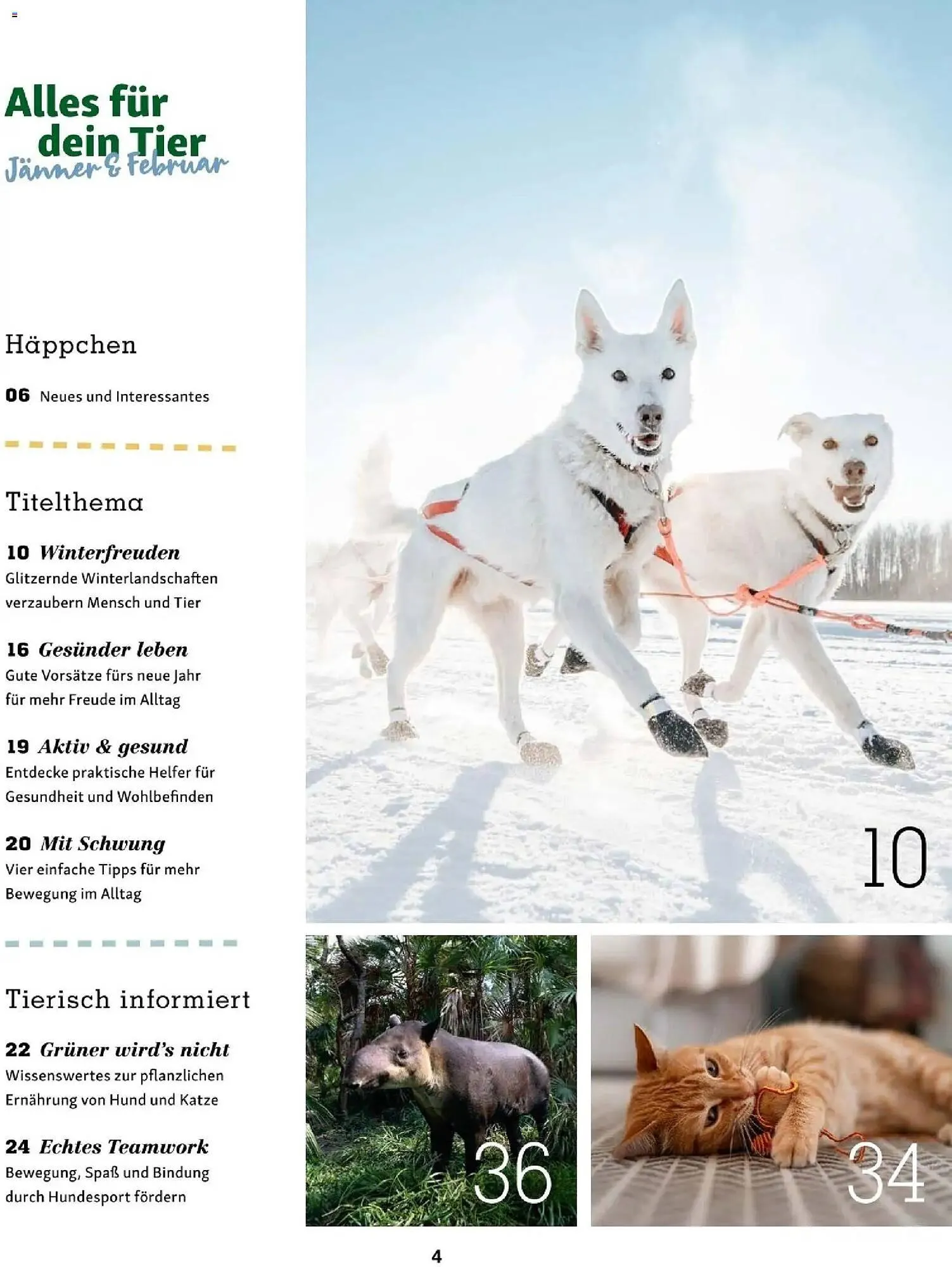 Fressnapf Flugblatt von 1. Jänner bis 28. Februar 2026 - Flugblätt seite  4