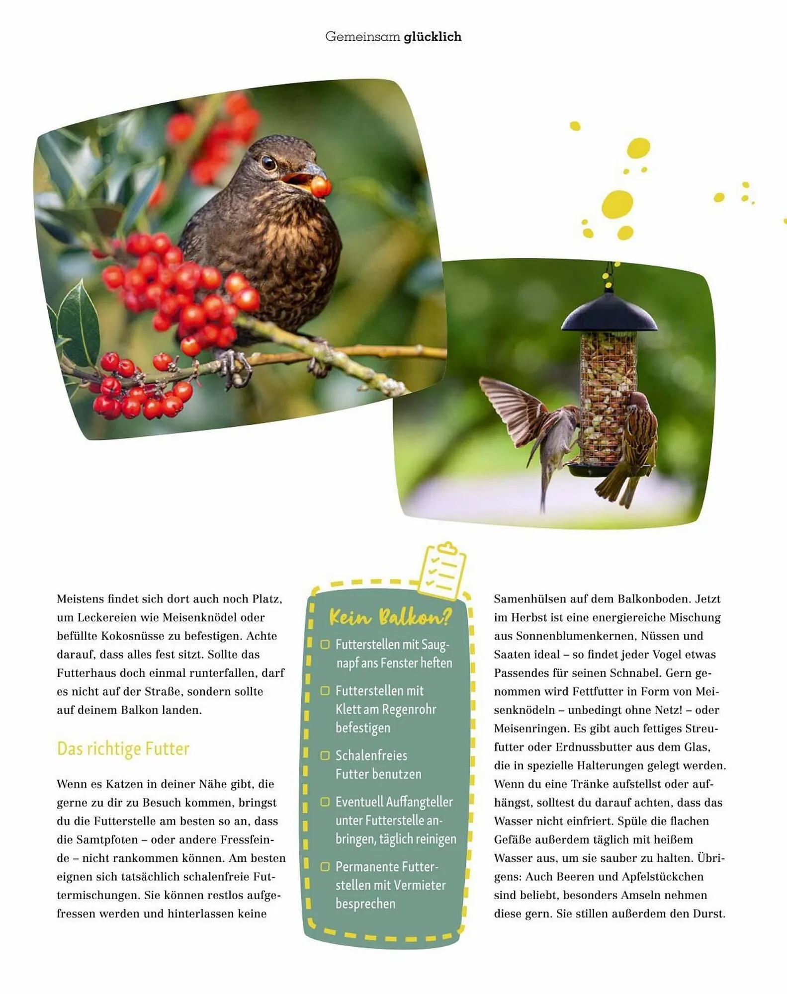 Fressnapf Flugblatt von 30. August bis 31. Oktober 2023 - Flugblätt seite 45