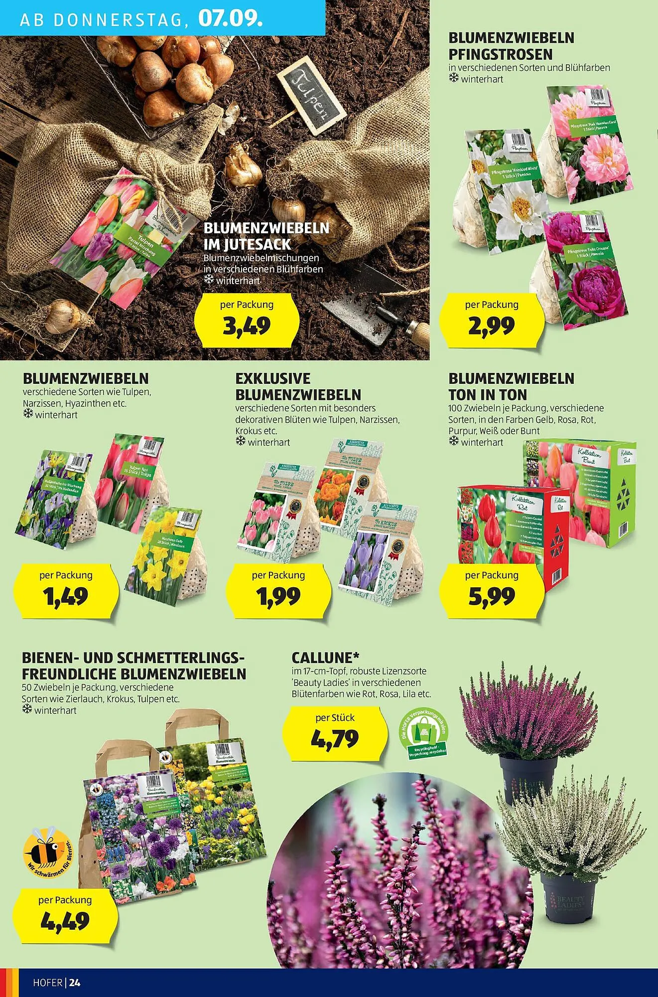 Hofer Flugblatt von 1. September bis 7. September 2023 - Flugblätt seite  26