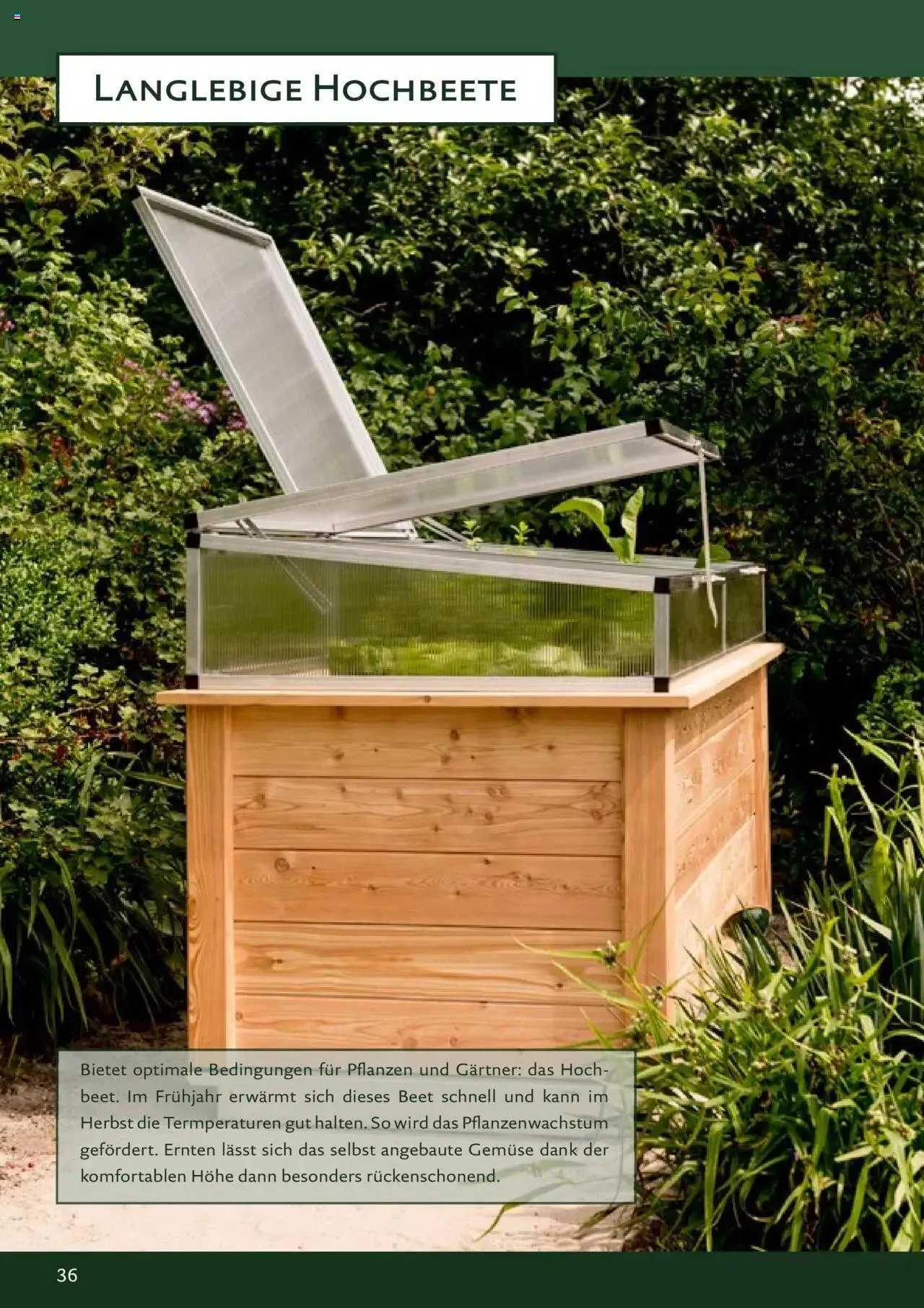 Dehner - KGT Katalog - Gartentechnik & Co. von 6. Februar bis 31. Dezember 2023 - Flugblätt seite  36