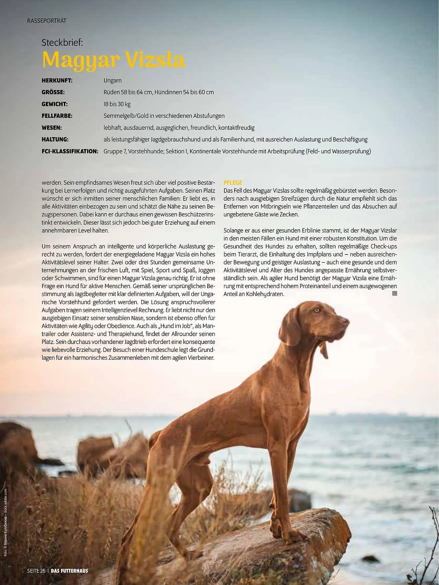 Das Futterhaus Prospekt von 17. Dezember bis 6. Jänner 2026 - Flugblätt seite  26