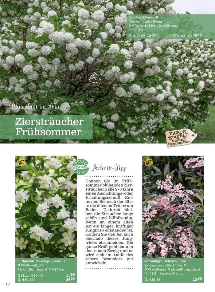 Gartencenter Jahreskatalog 2024 von 20. Mai bis 31. Dezember 2024 - Flugblätt seite 10