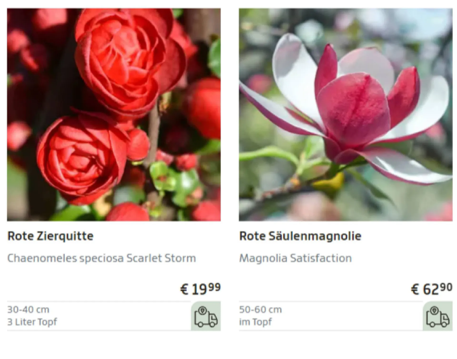 Starkl Flugblatt von 19. März bis 1. April 2024 - Flugblätt seite  