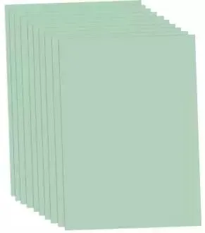 Tonzeichenpapier, eukalyptus, 50 x 70 cm, 10 Blatt