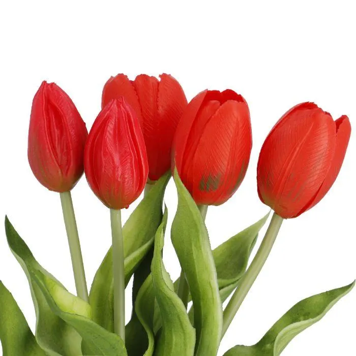 Strauß Tulpe, 5 Blüten, rot, 30 cm