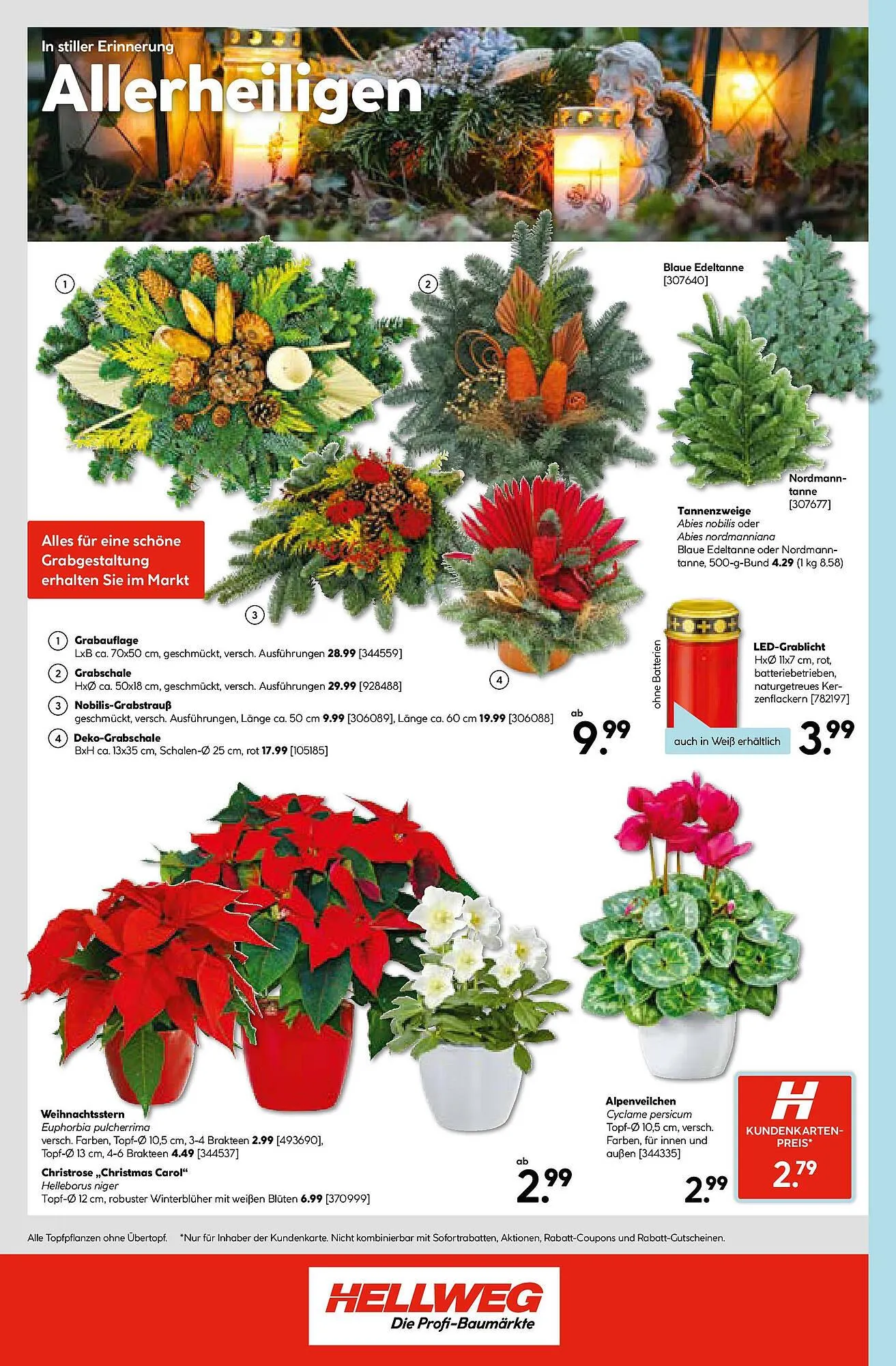 Hellweg Prospekt von 23. Oktober bis 29. Oktober 2025 - Flugblätt seite  24