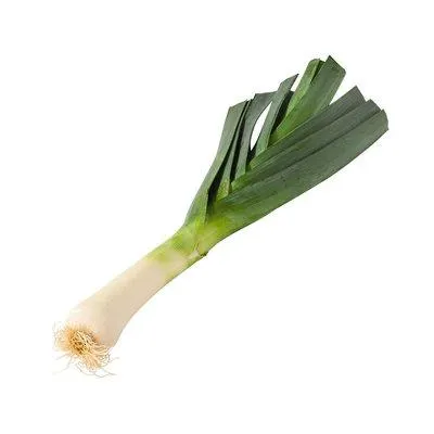 Da komm ich her! Lauch