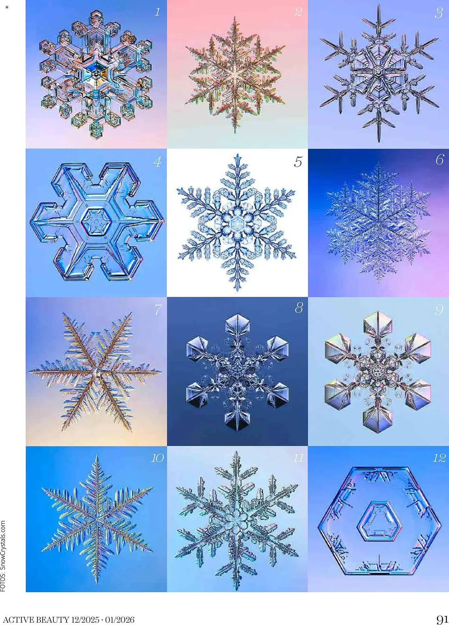 Dm Flugblatt von 1. Dezember bis 31. Jänner 2026 - Flugblätt seite  91