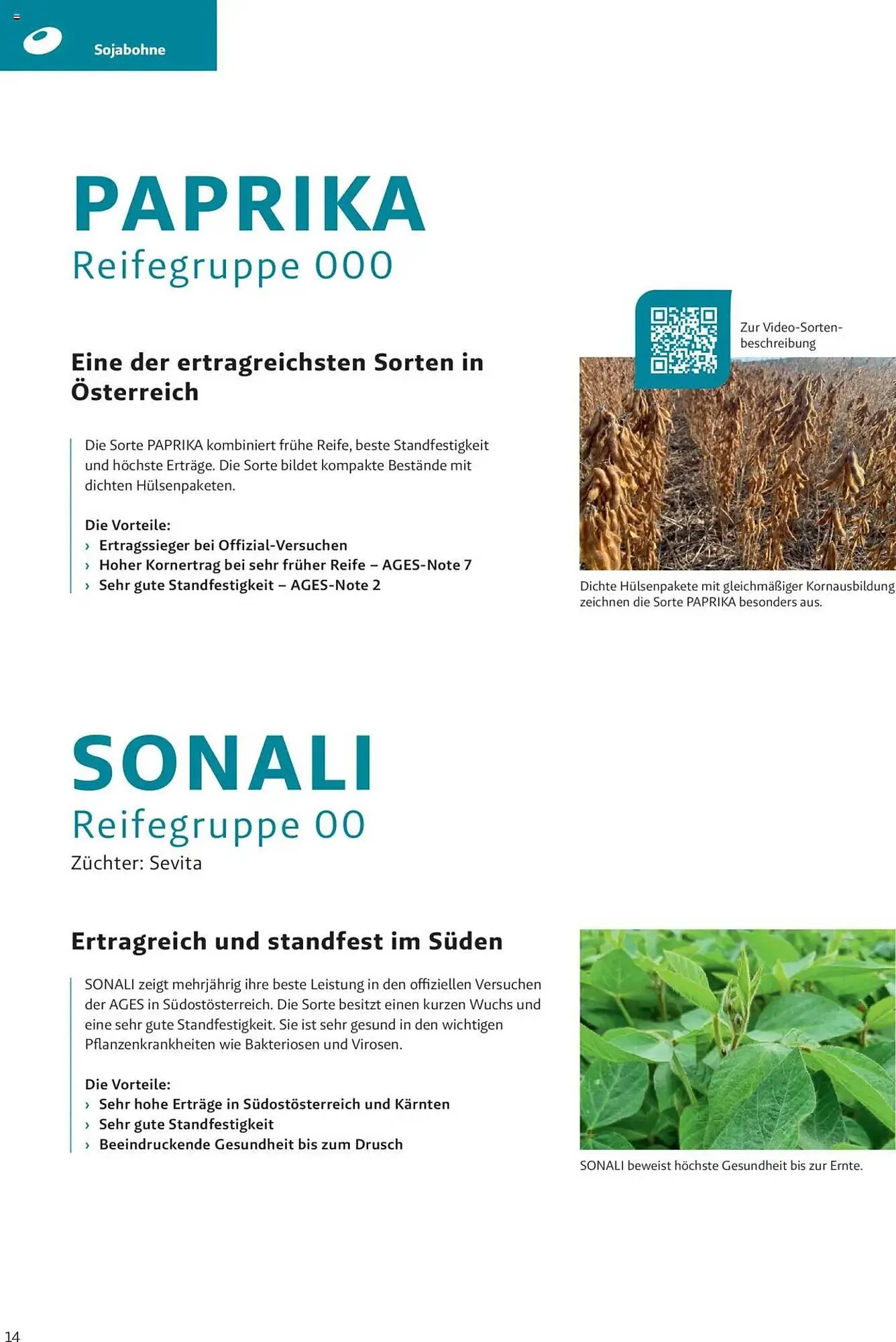 Lagerhaus Flugblatt von 4. Dezember bis 2. Juni 2025 - Flugblätt seite  14